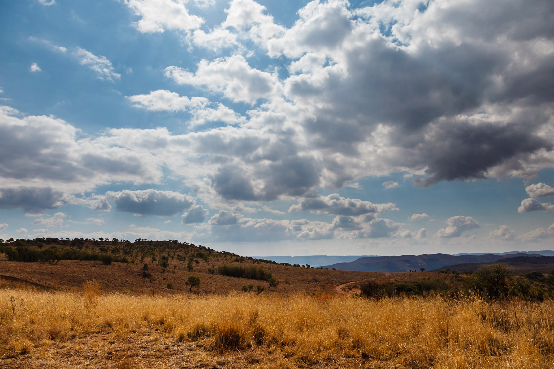 Cradle of Humankind park