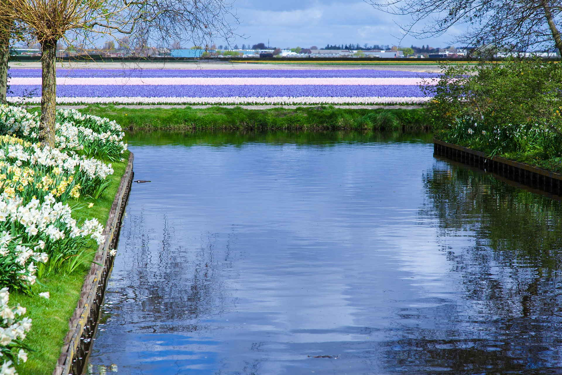 Keukenhof