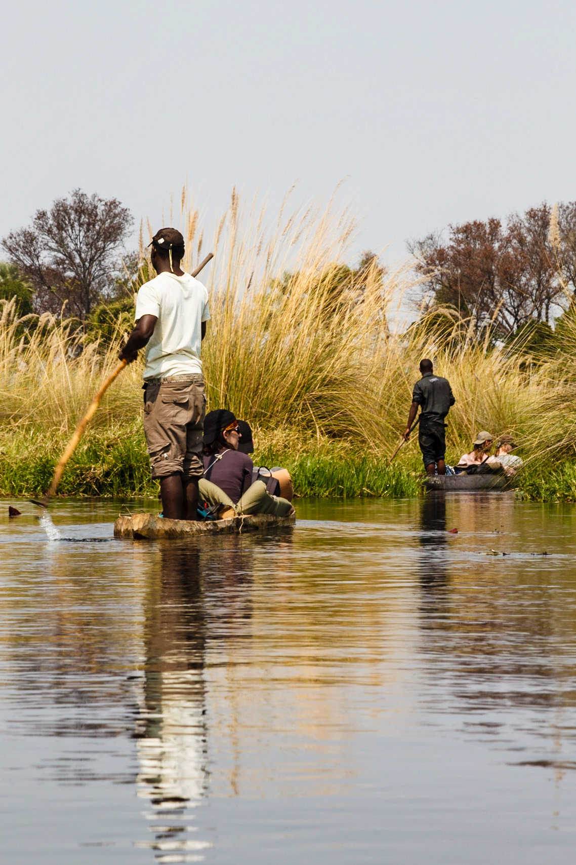 Poling mokoros through the Okavango Delta