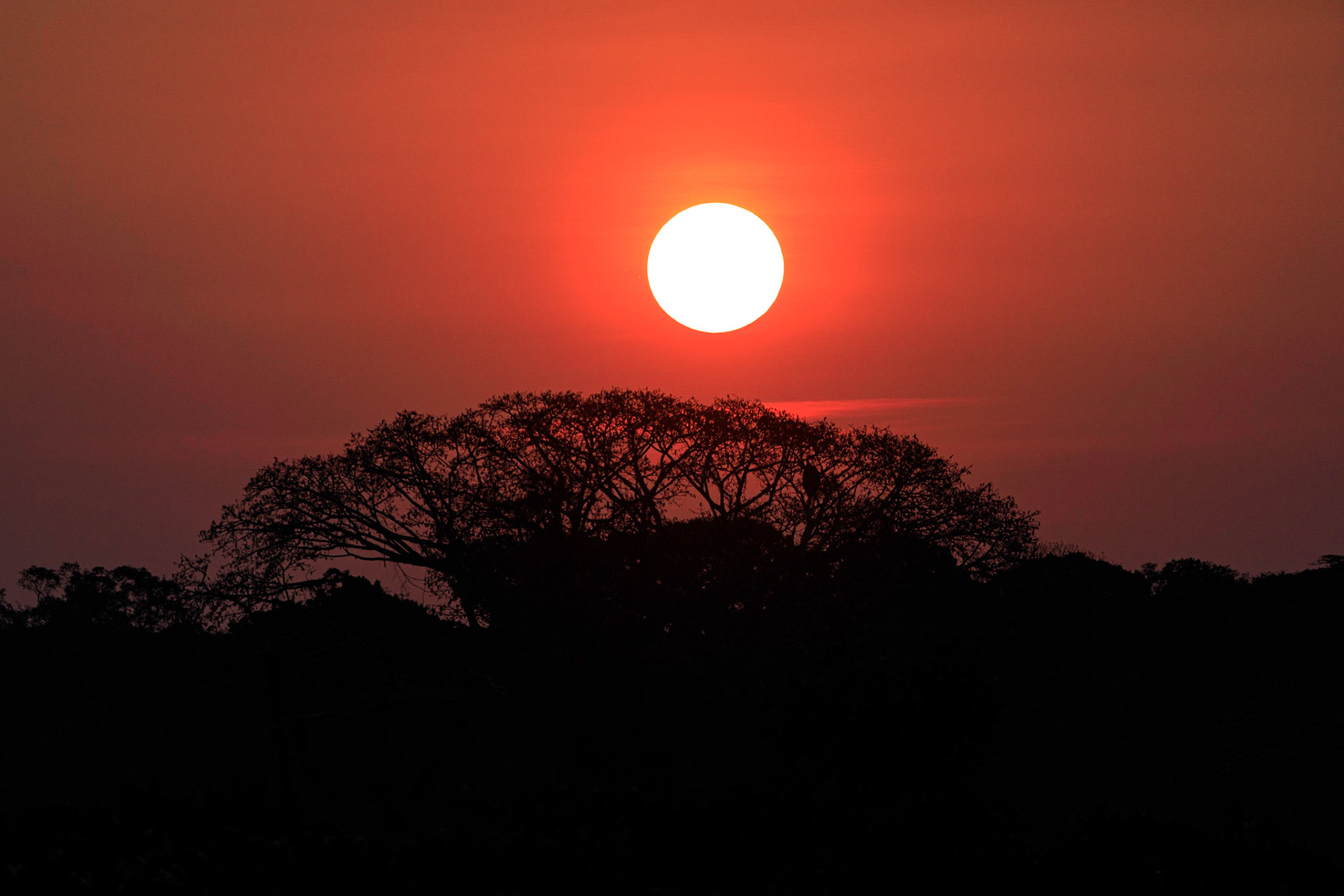 Sunset at Hacienda Tambopata Lodge
