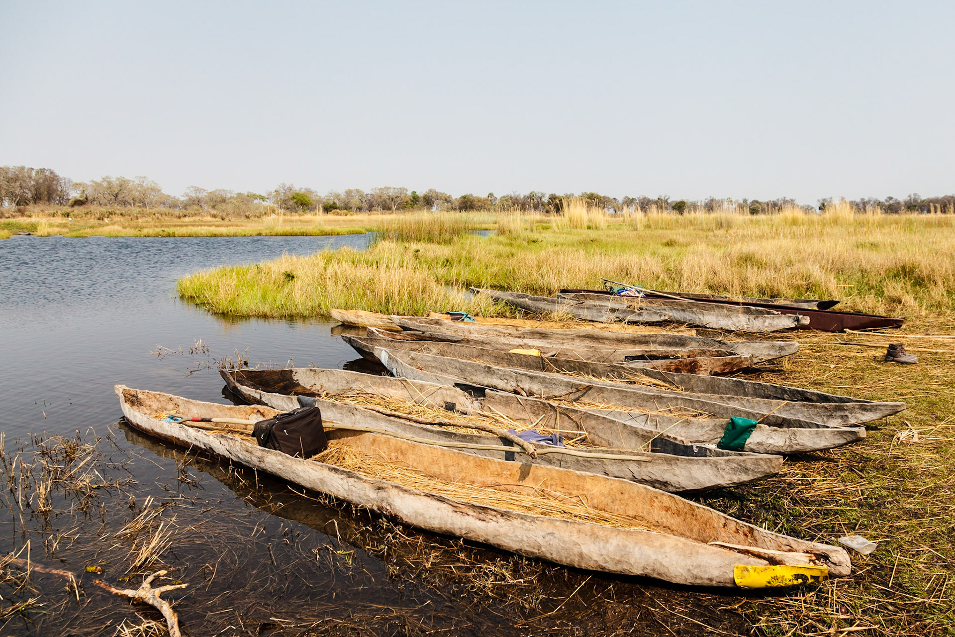 Mokoros, the traditional method of transporation in the Okavango Delta