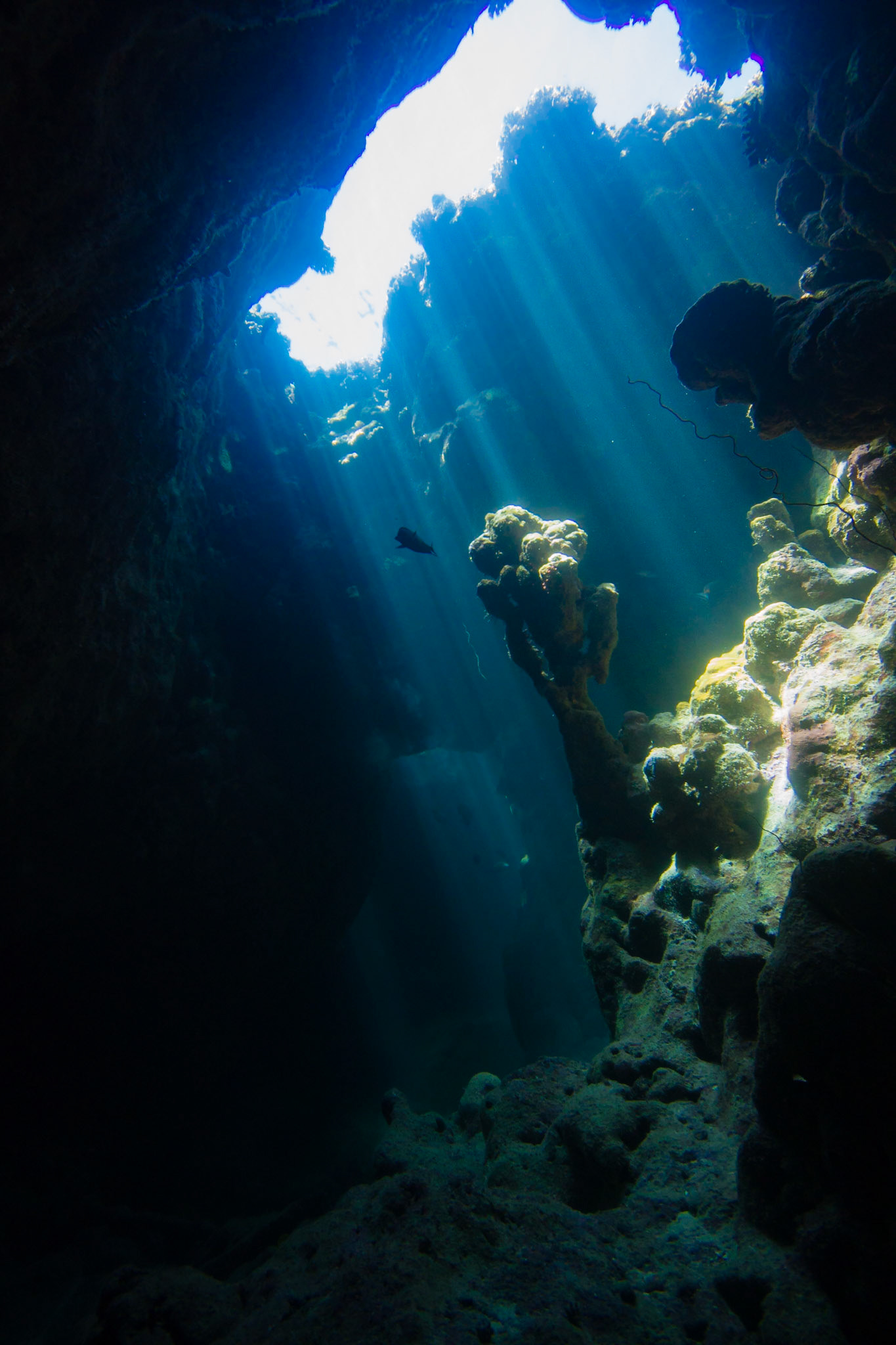 Underwater caves at Big Gota