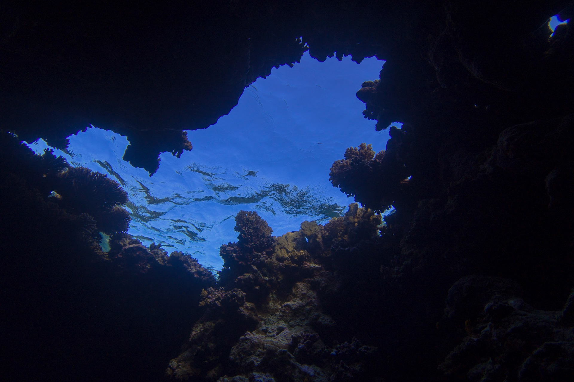 Underwater caves at Umm Hararim (Cave Reef). The whole dive site is a series of intersecting caves.