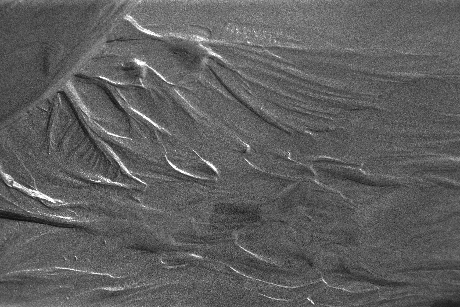 Patterns in the sand