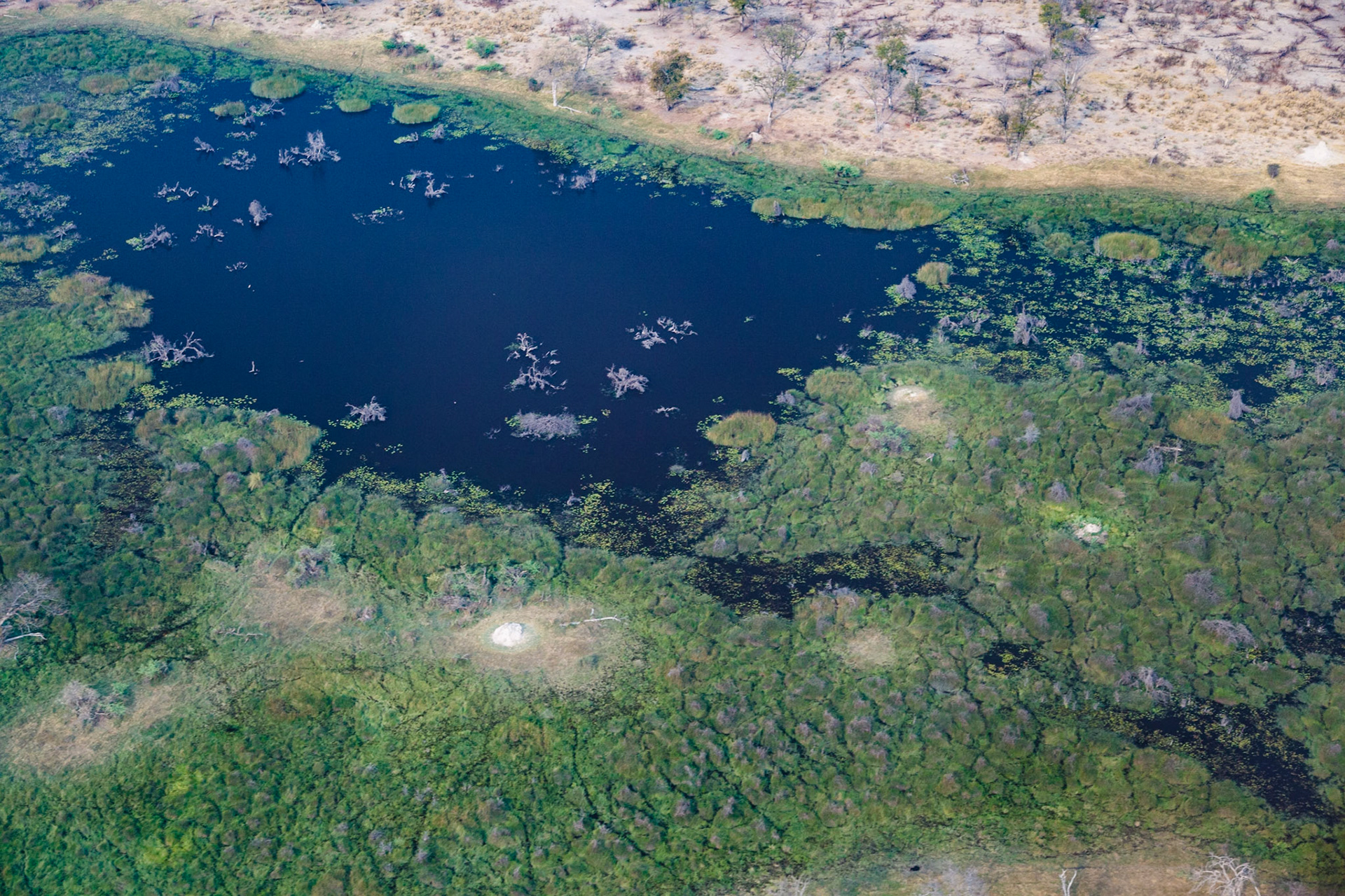 The Okavango by air