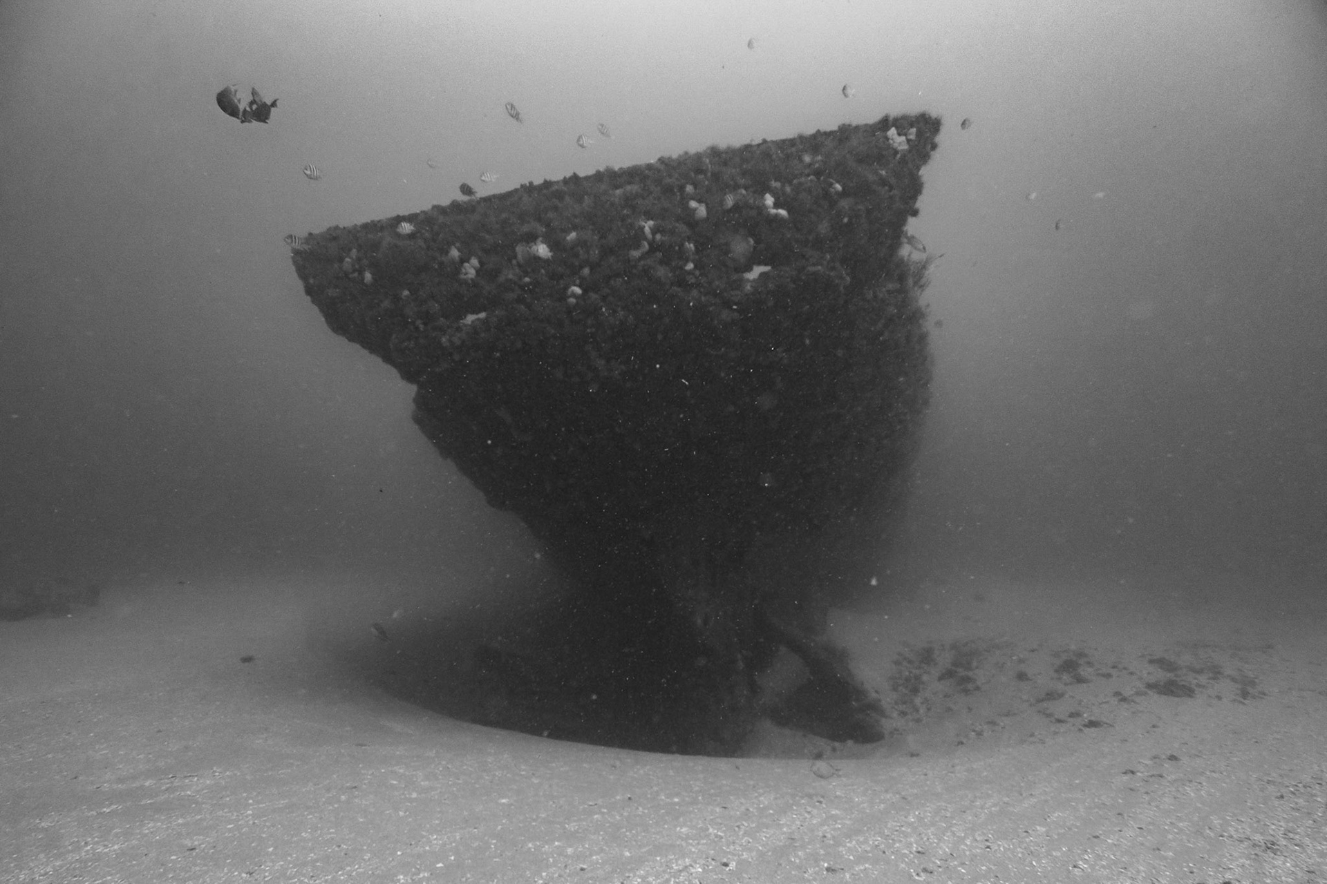 The Ana Cecilia shipwreck
