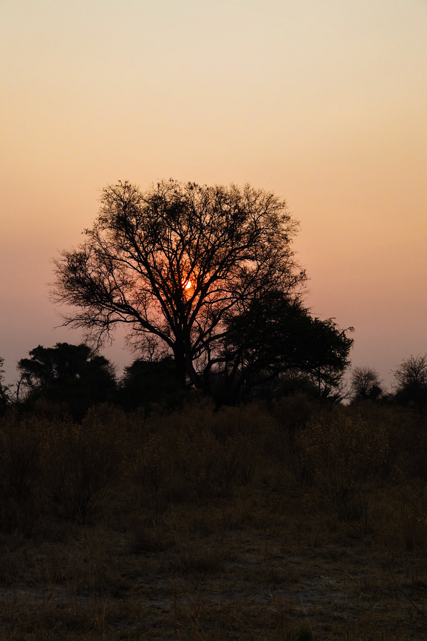 Sunset over the Okavango Delta