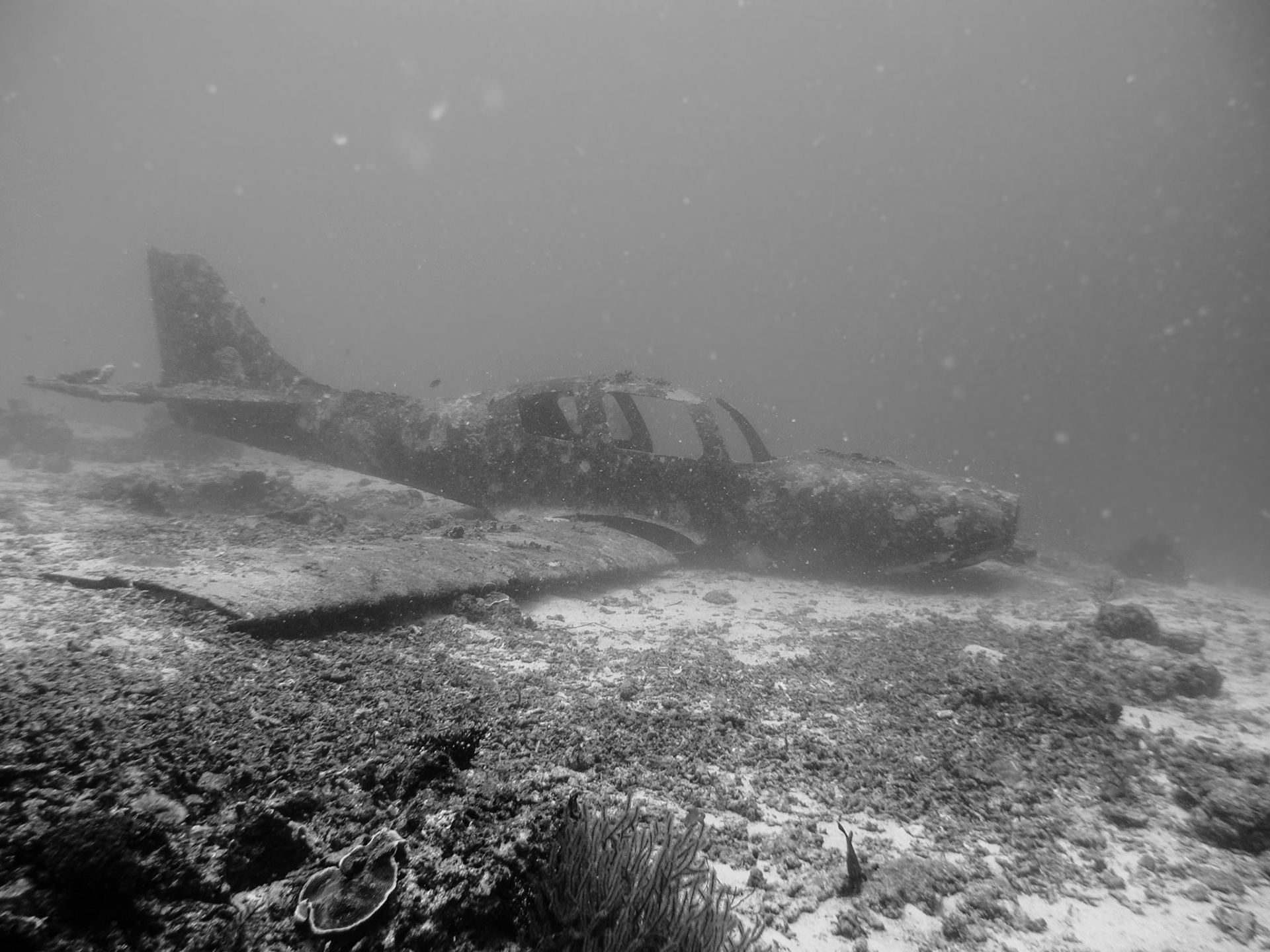 Sunken airplane shell