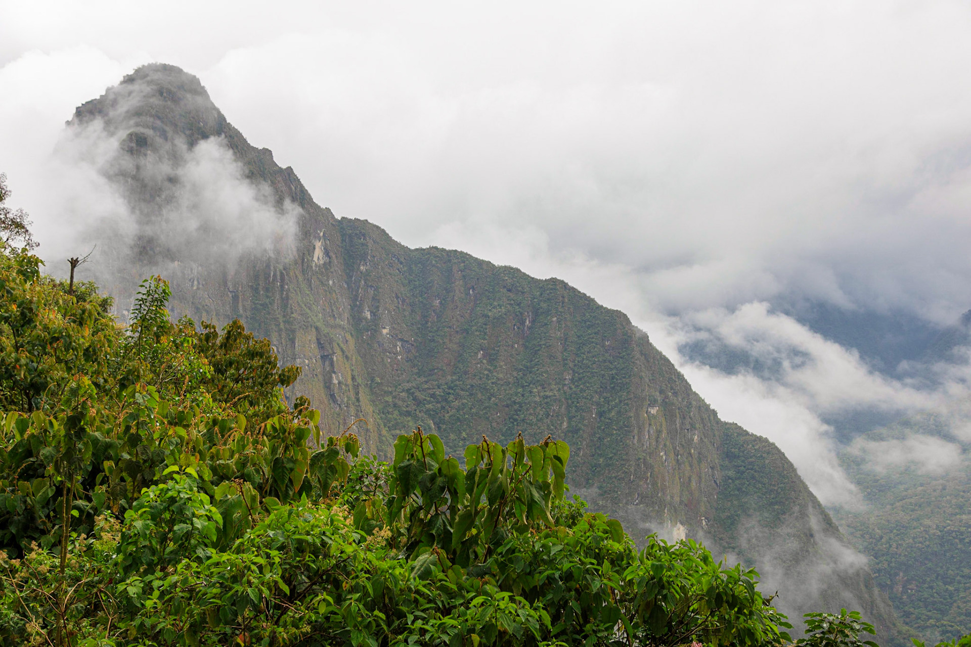 Waiting to enter Machu Picchu on a foggy day