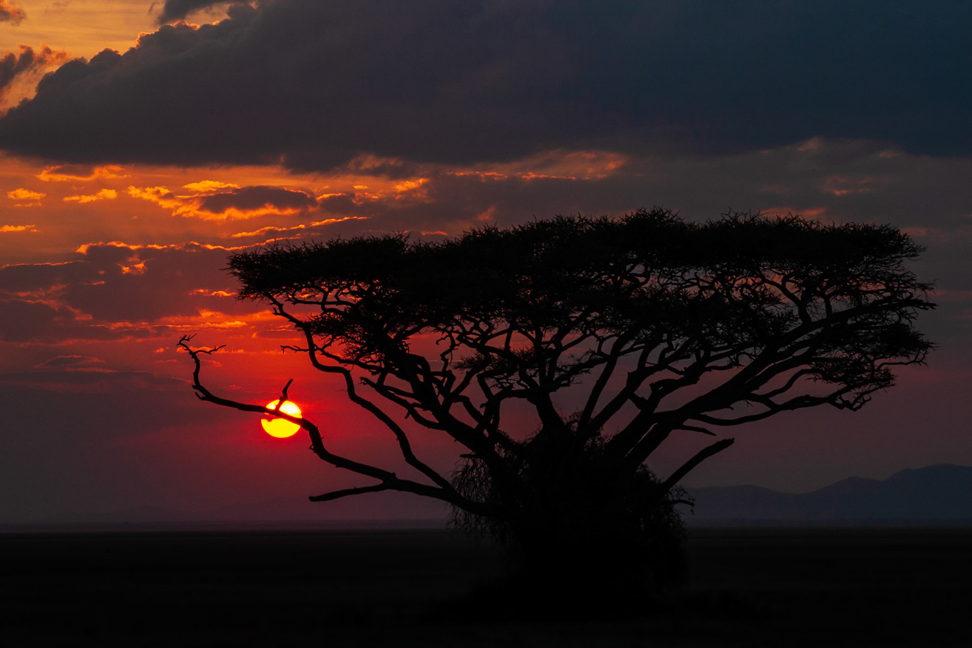 Sunset in Amboseli National Reserve, Kenya