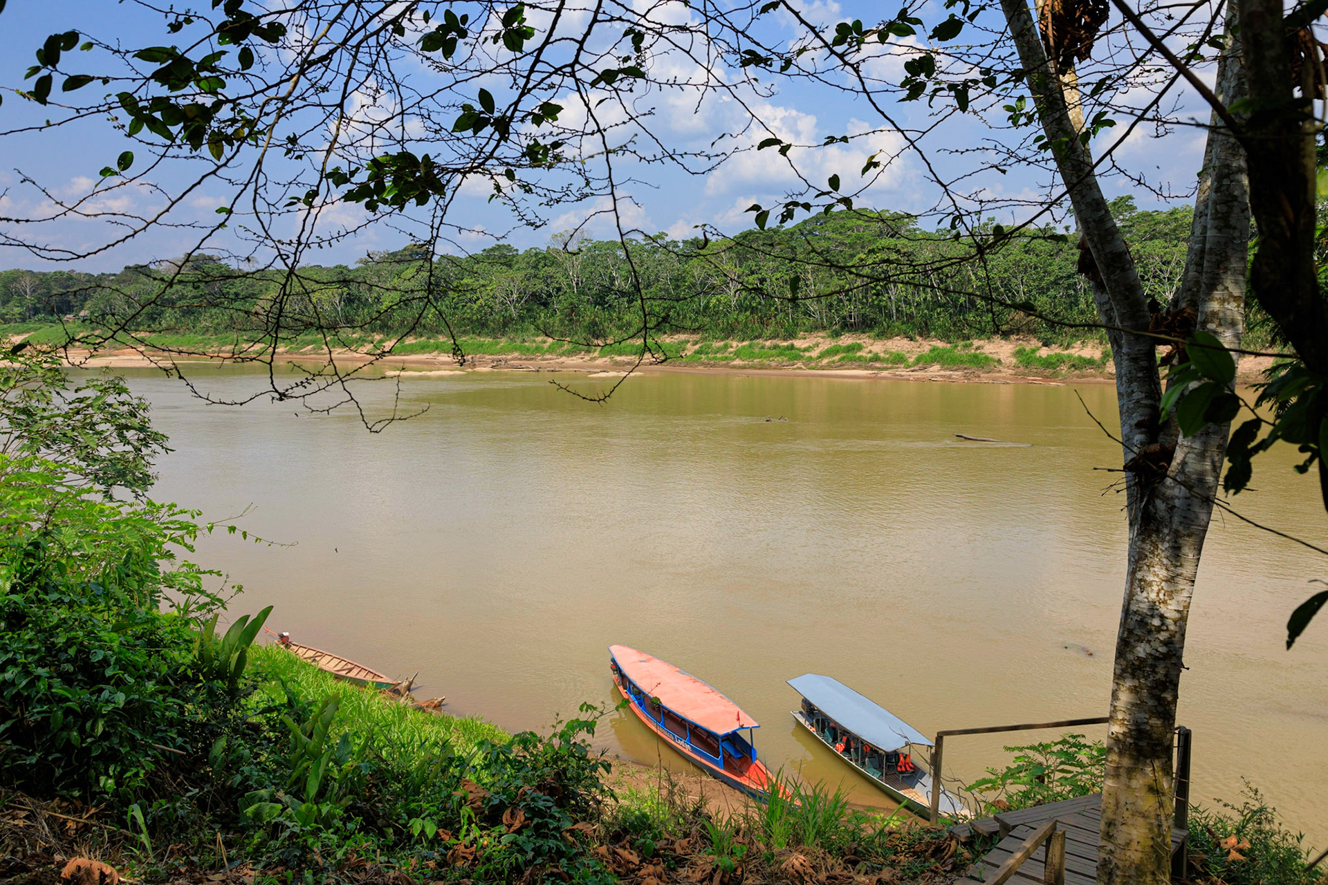 The banks of the Madre de Dios river