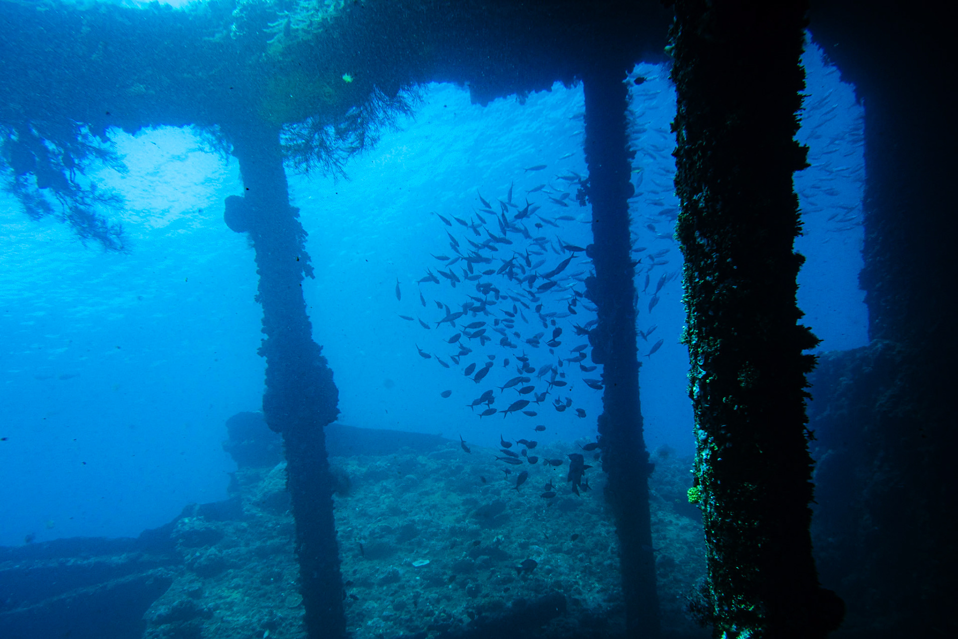 Liberty Shipwreck