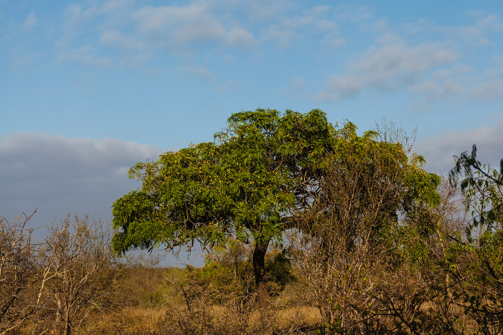 Timbivati Game Preserve