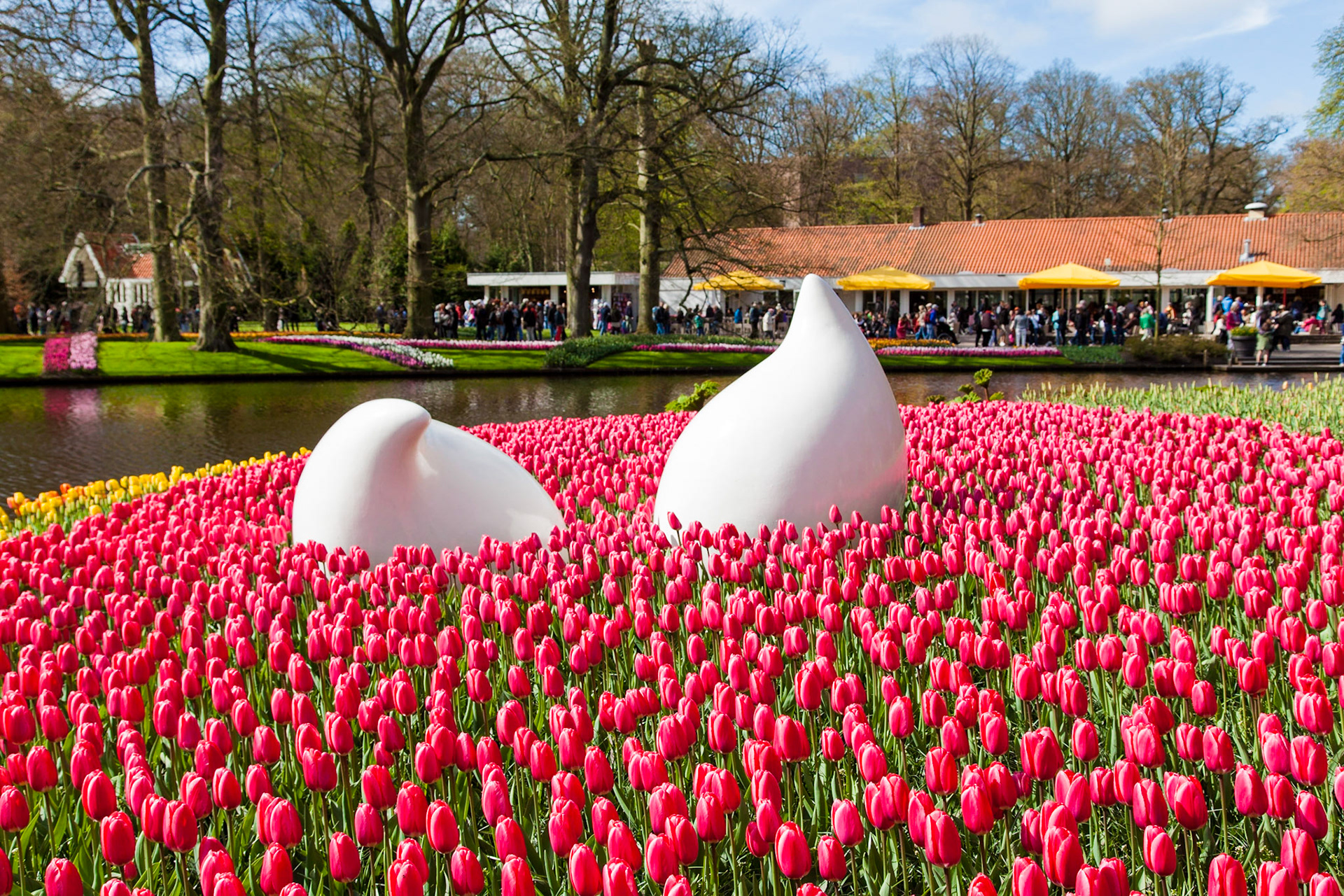 Keukenhof