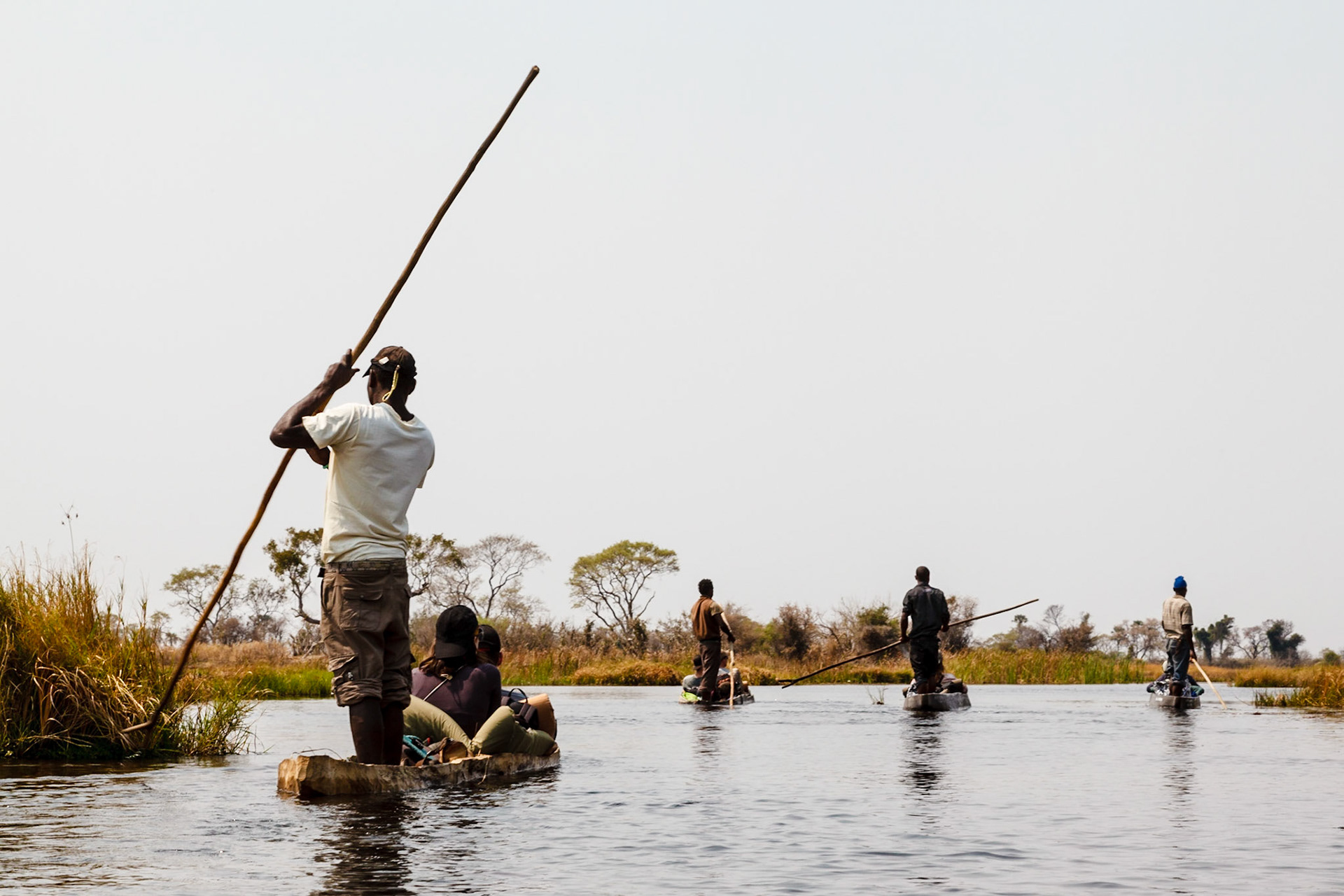 Poling makoros through the Okavango Delta