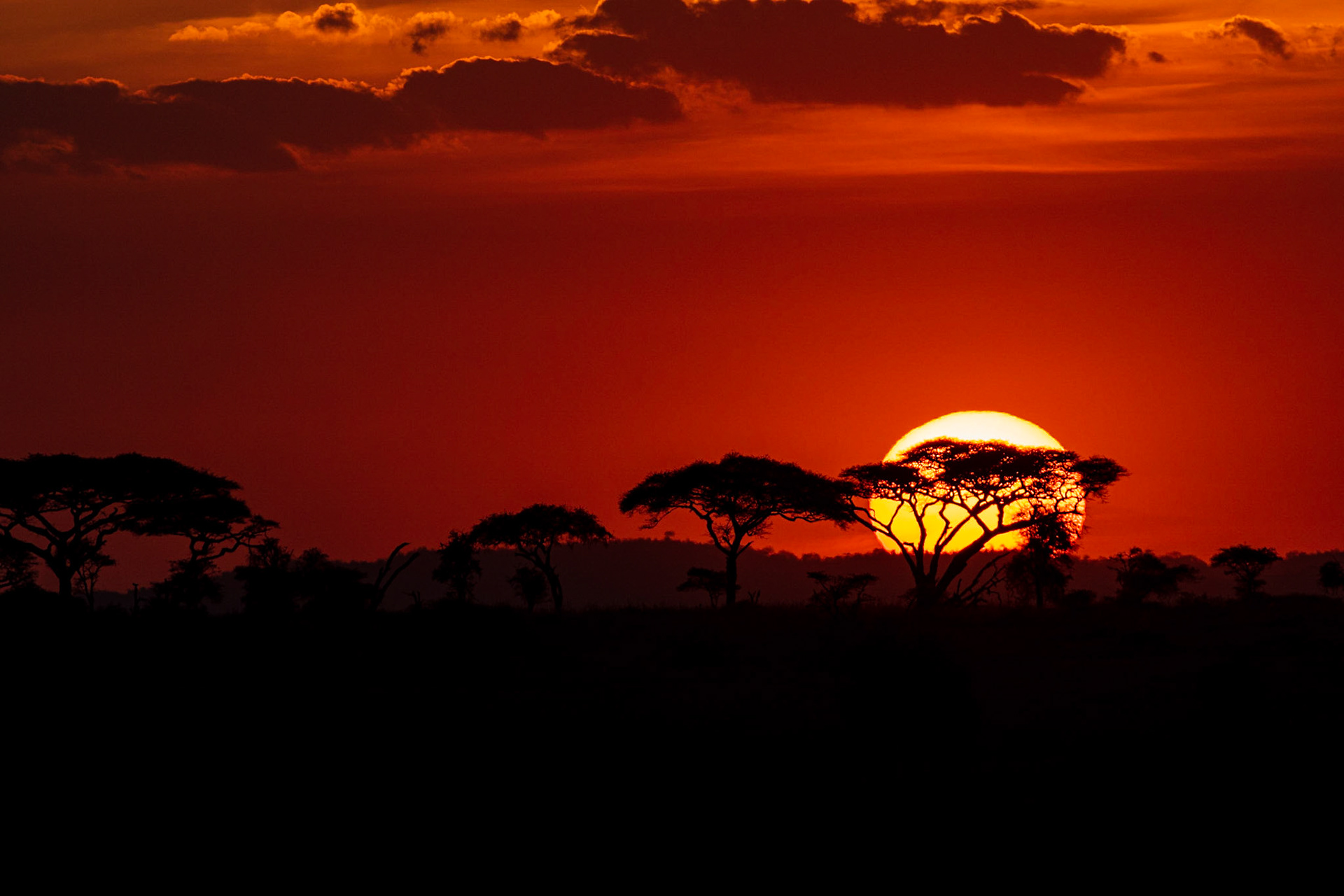 Sunset in Serengeti NP