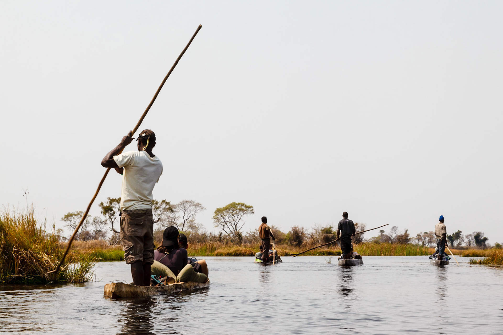 Poling makoros through the Okavango Delta