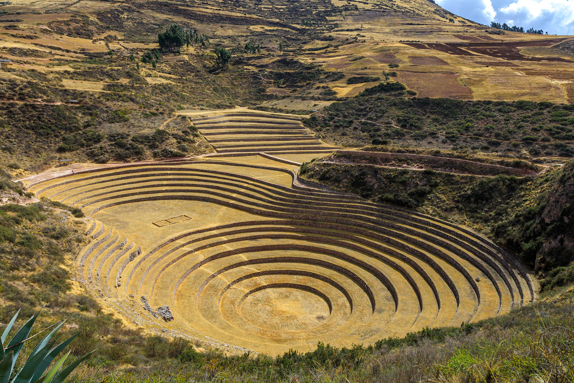 Moray crop terraces