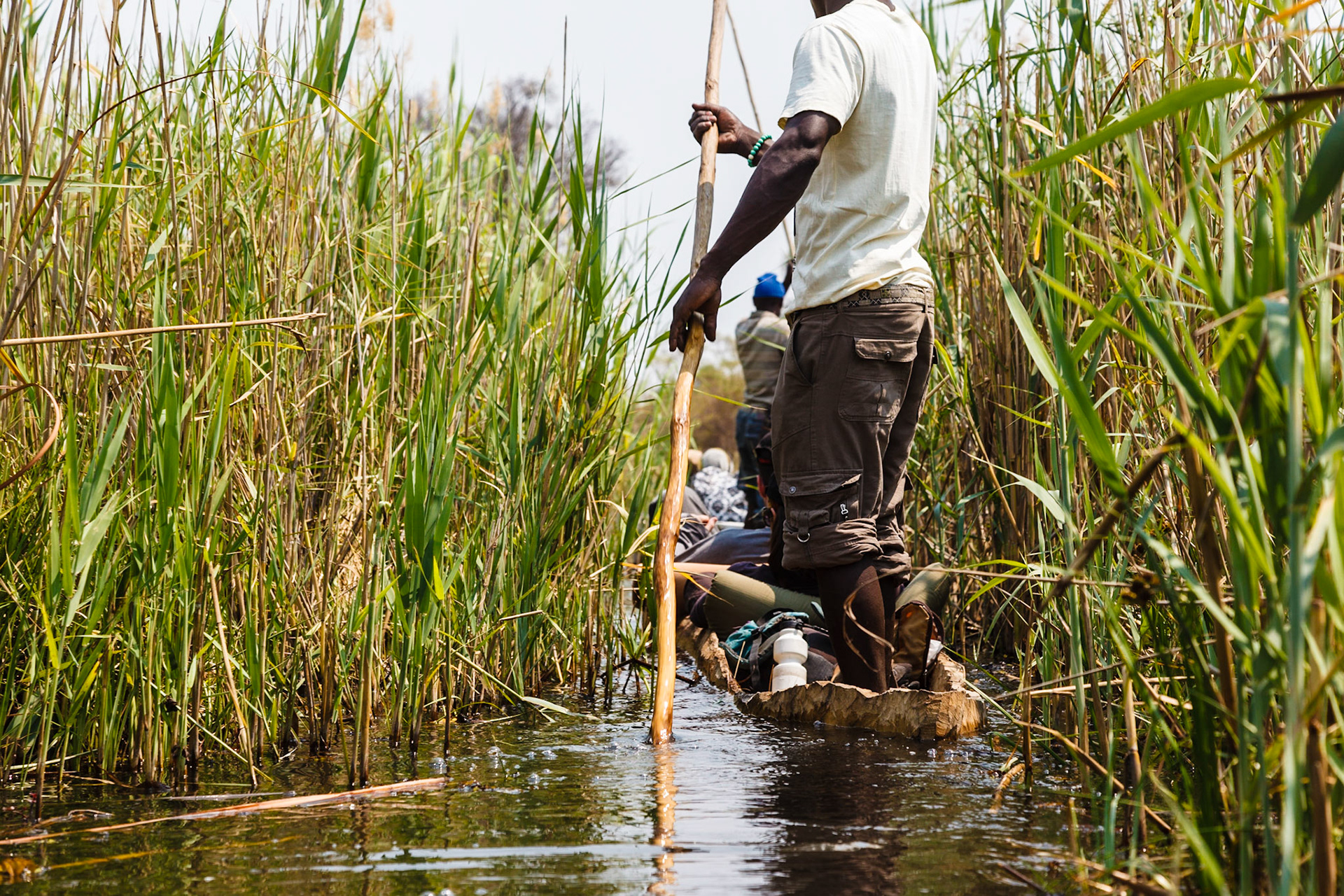 Poling mokoros through the Okavango Delta
