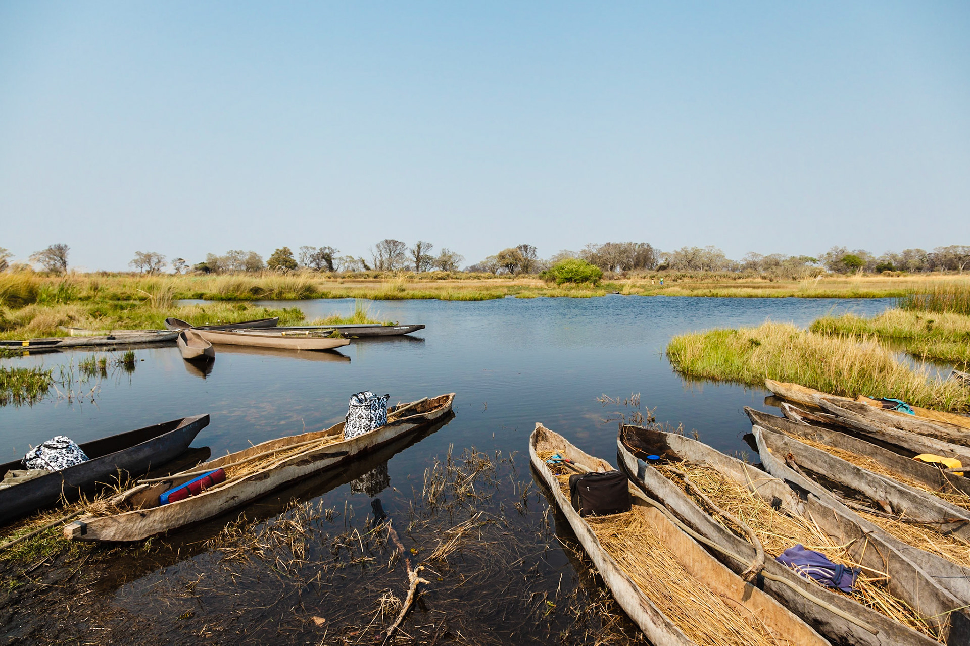 Makoros, the traditional method of transporation in the Okavango Delta