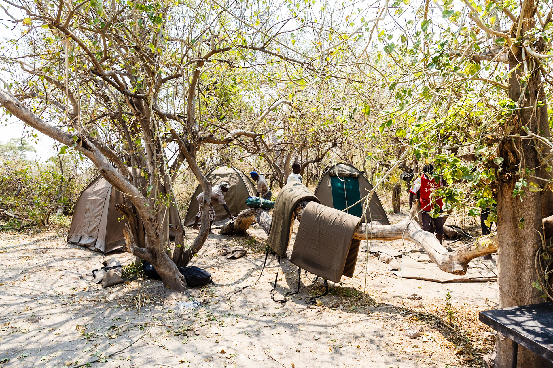 Our bush camp in the Okavango Delta