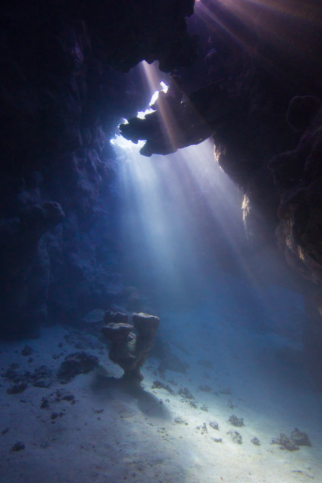 Underwater caves at Umm Hararim (Cave Reef). The whole dive site is a series of intersecting caves.