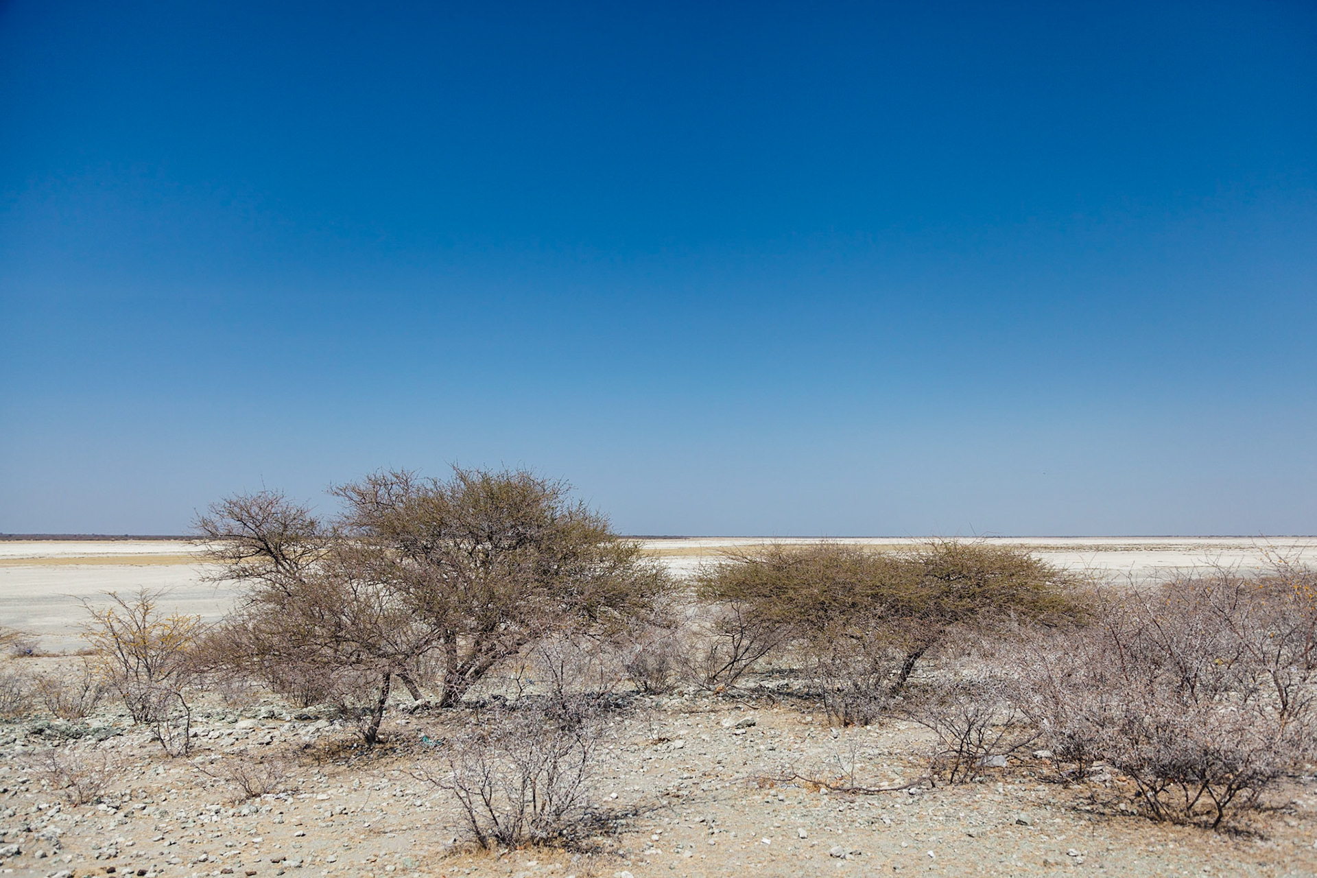 Salt pans