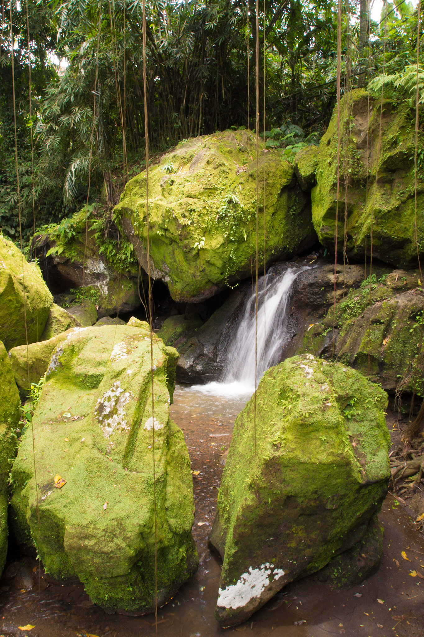 Goa Gajah Temple
