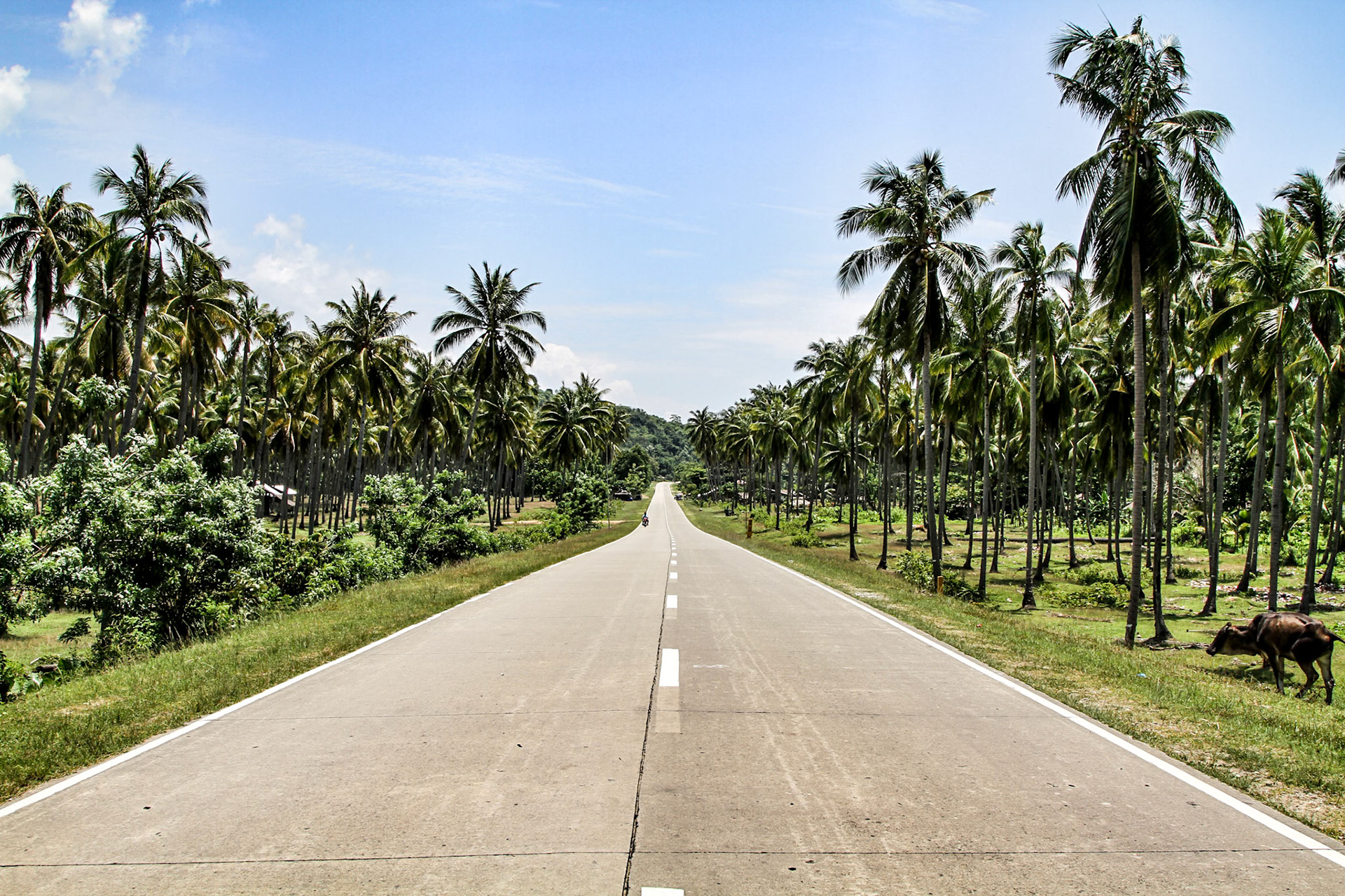 Road to El Nido, Palawan, Philippines (2015)