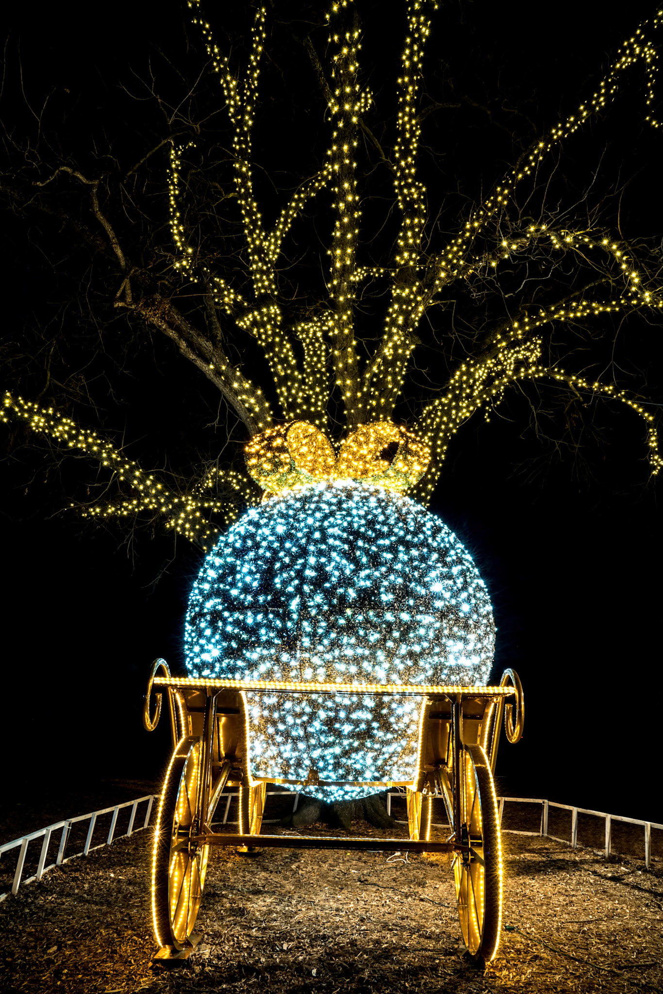 Trail of Lights, ATX (2019)