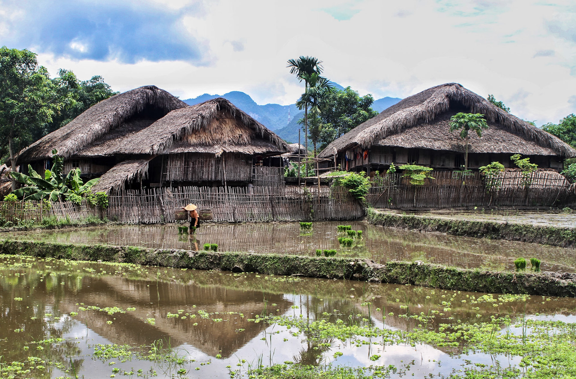 Thon Tha Village, Ha Giang, Vietnam (2015)