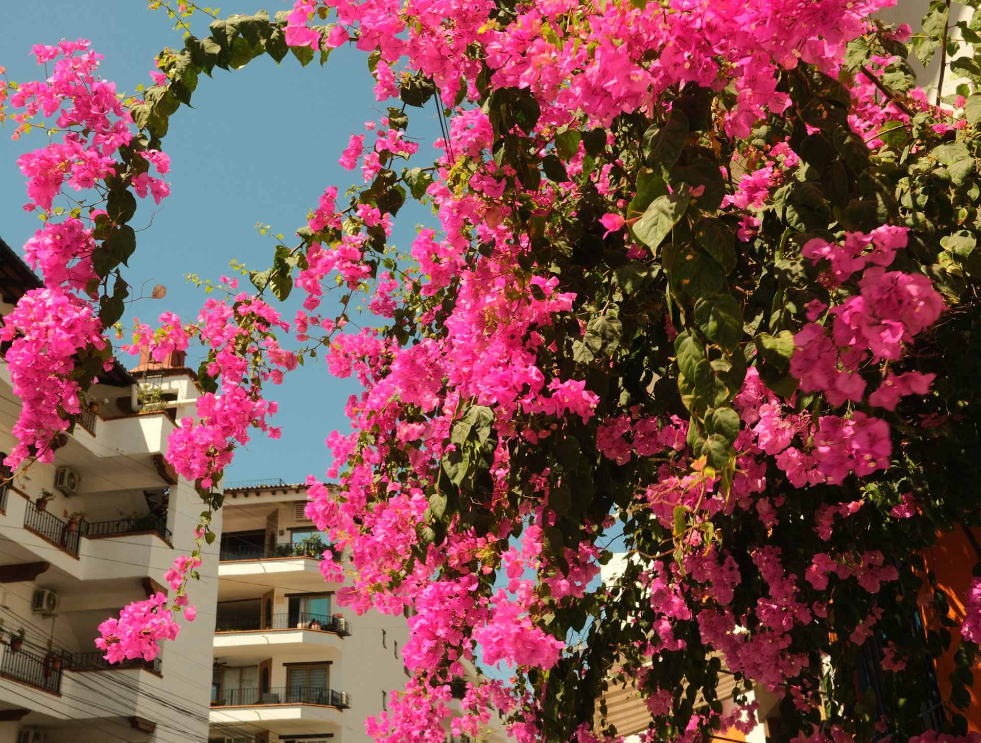 Puerto Vallarta (2025)