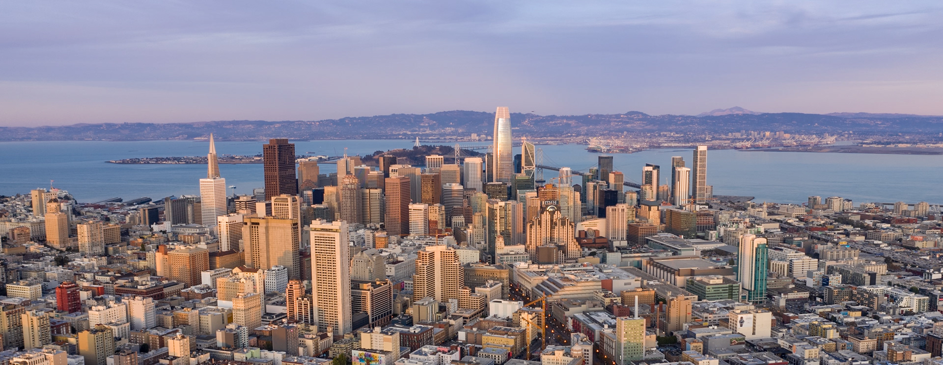 SF (2019)