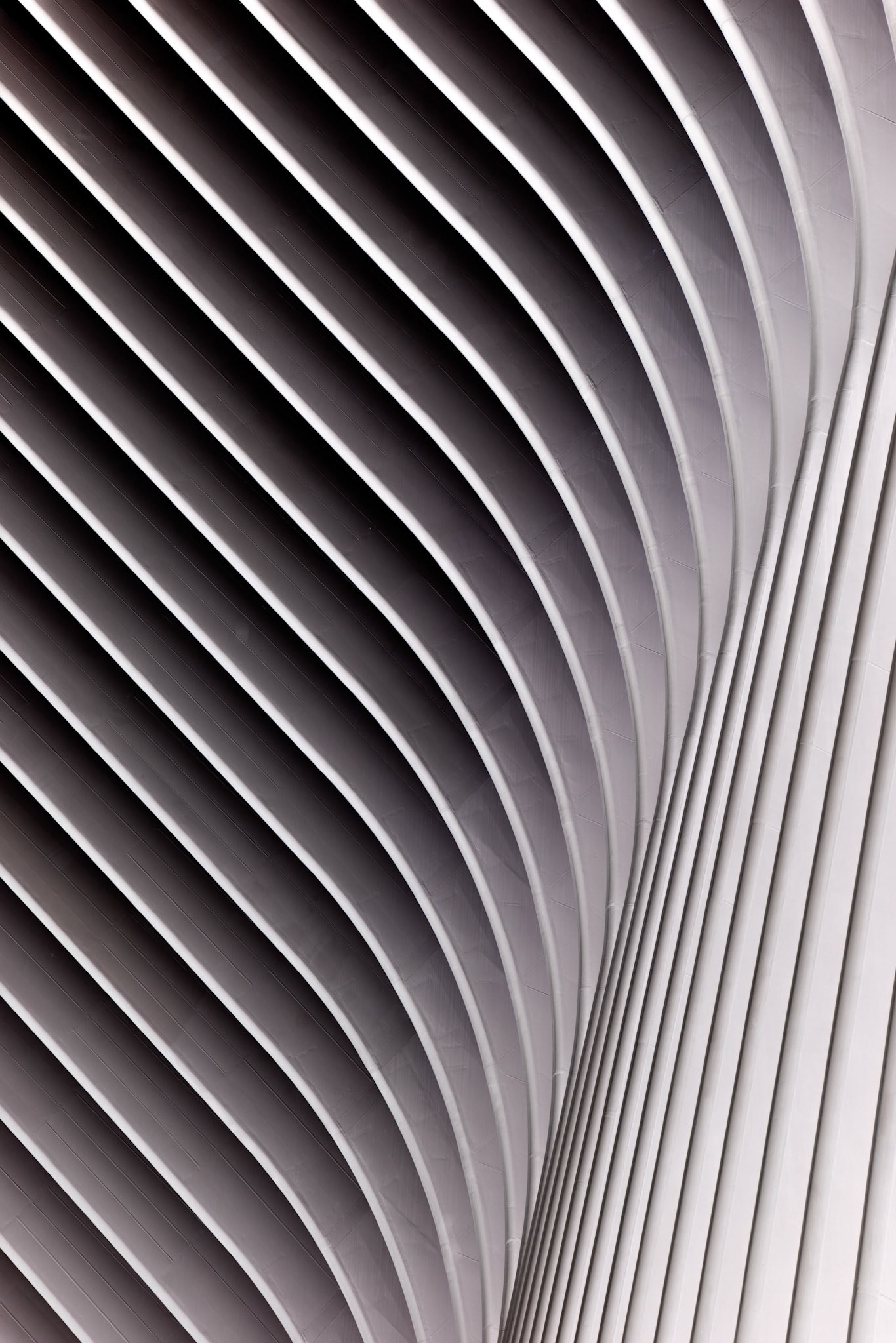 The Oculus Texture, NYC (2019)