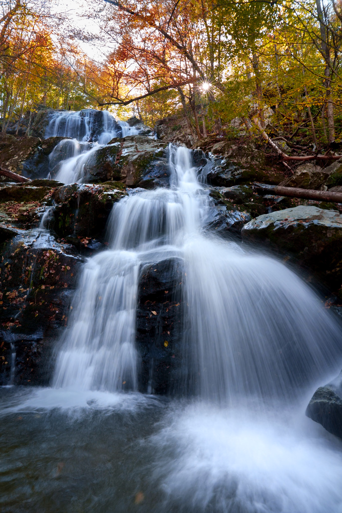 Dark Hollow Falls, Shenandoah (2024)