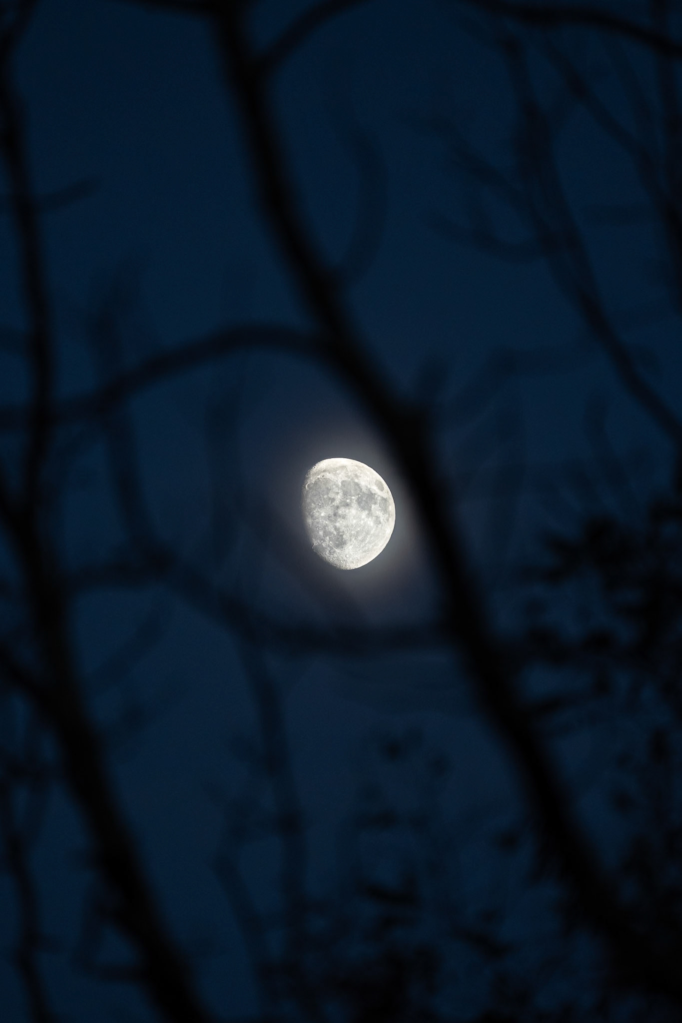 Moon over Shenandoah (2024)