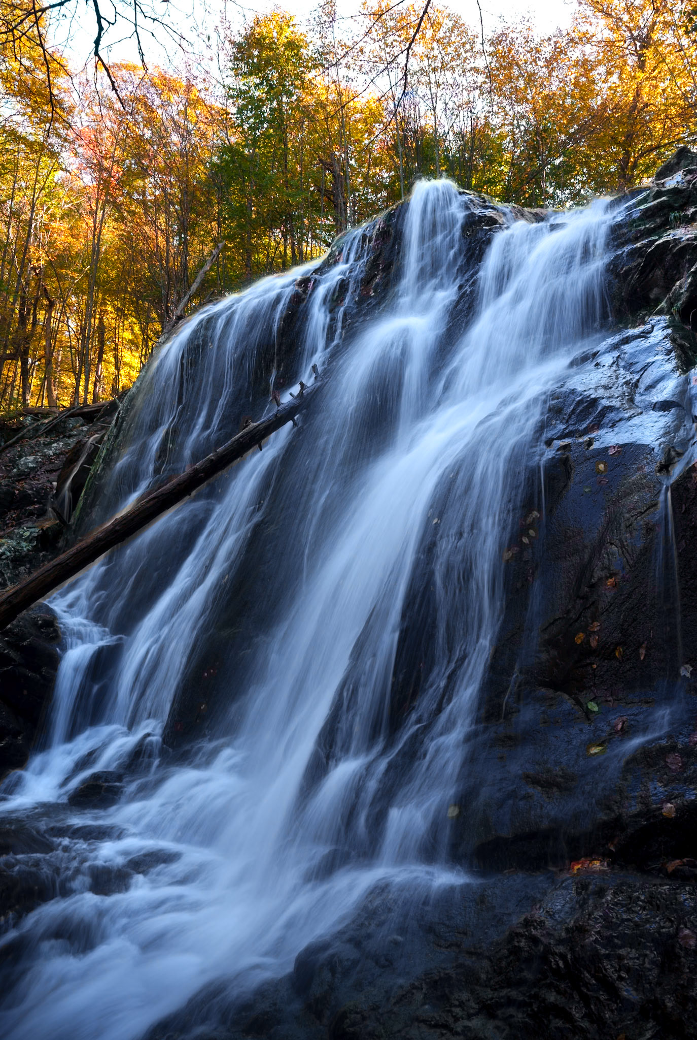 Dark Hollow Falls - Silky, Shenandoah (2024)