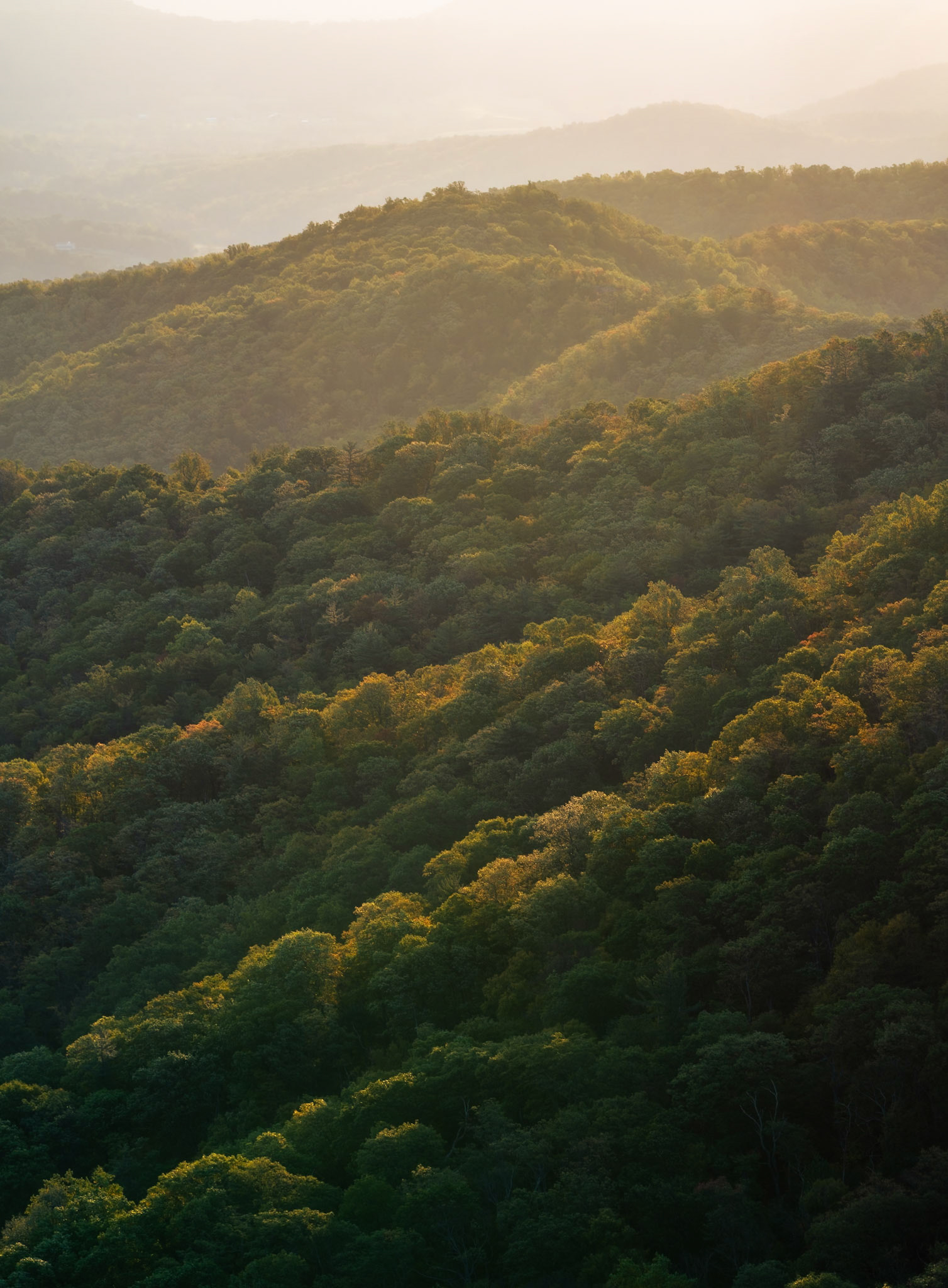 Hazel Mountain Overlook at Dawn, Shenandoah (2024)
