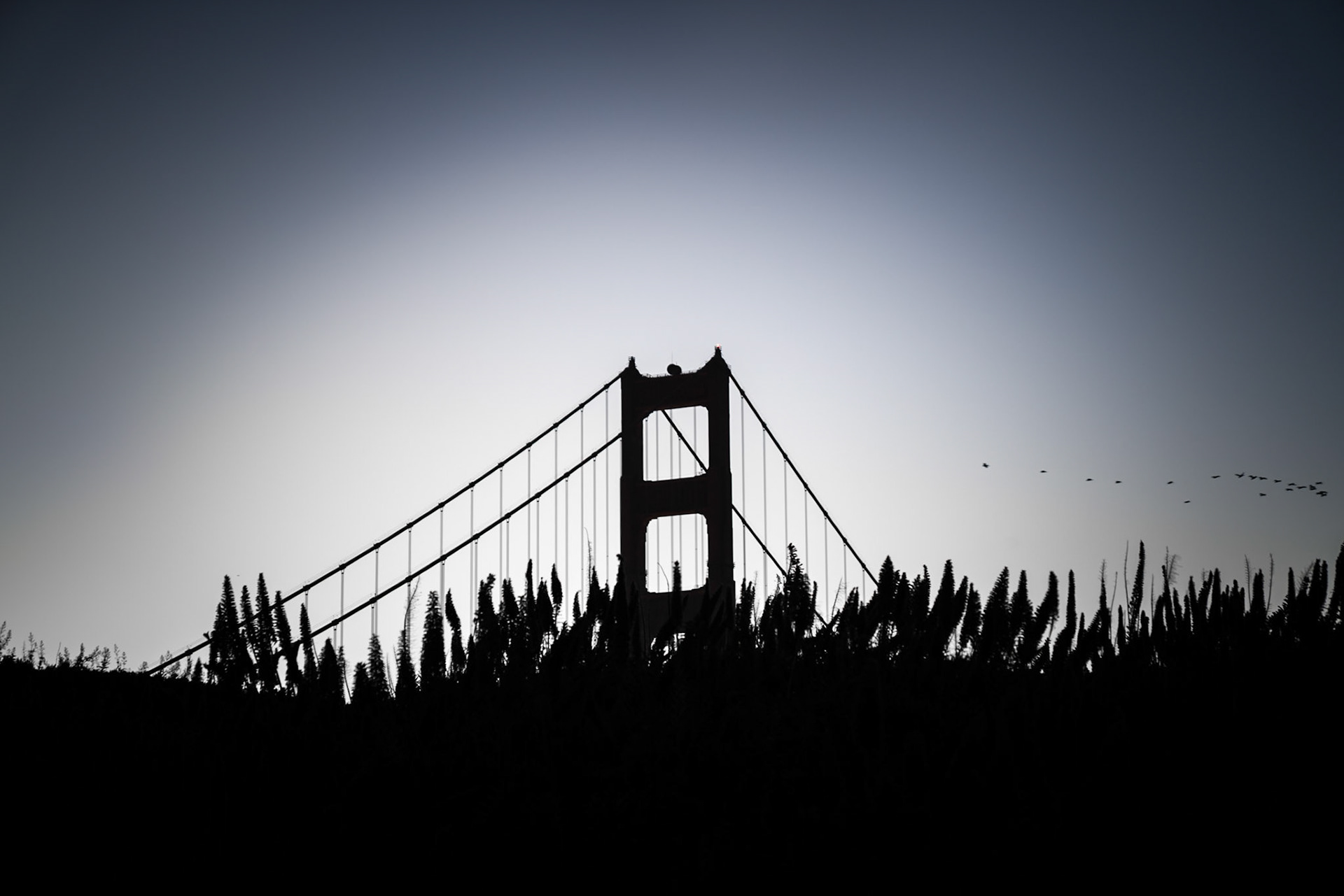 Fort Point Silhouette, SF (2018)