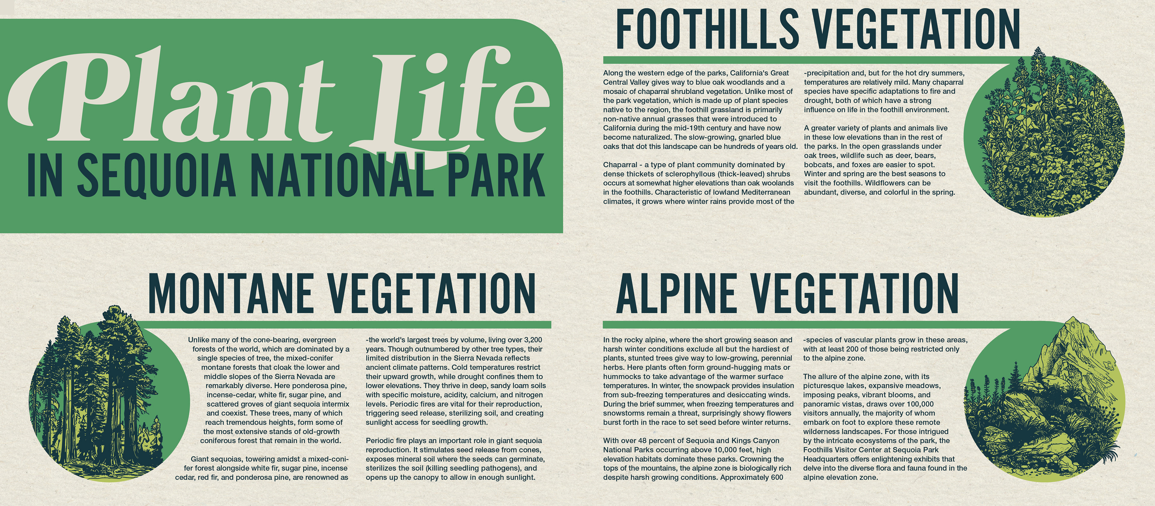 Plant Life Guide