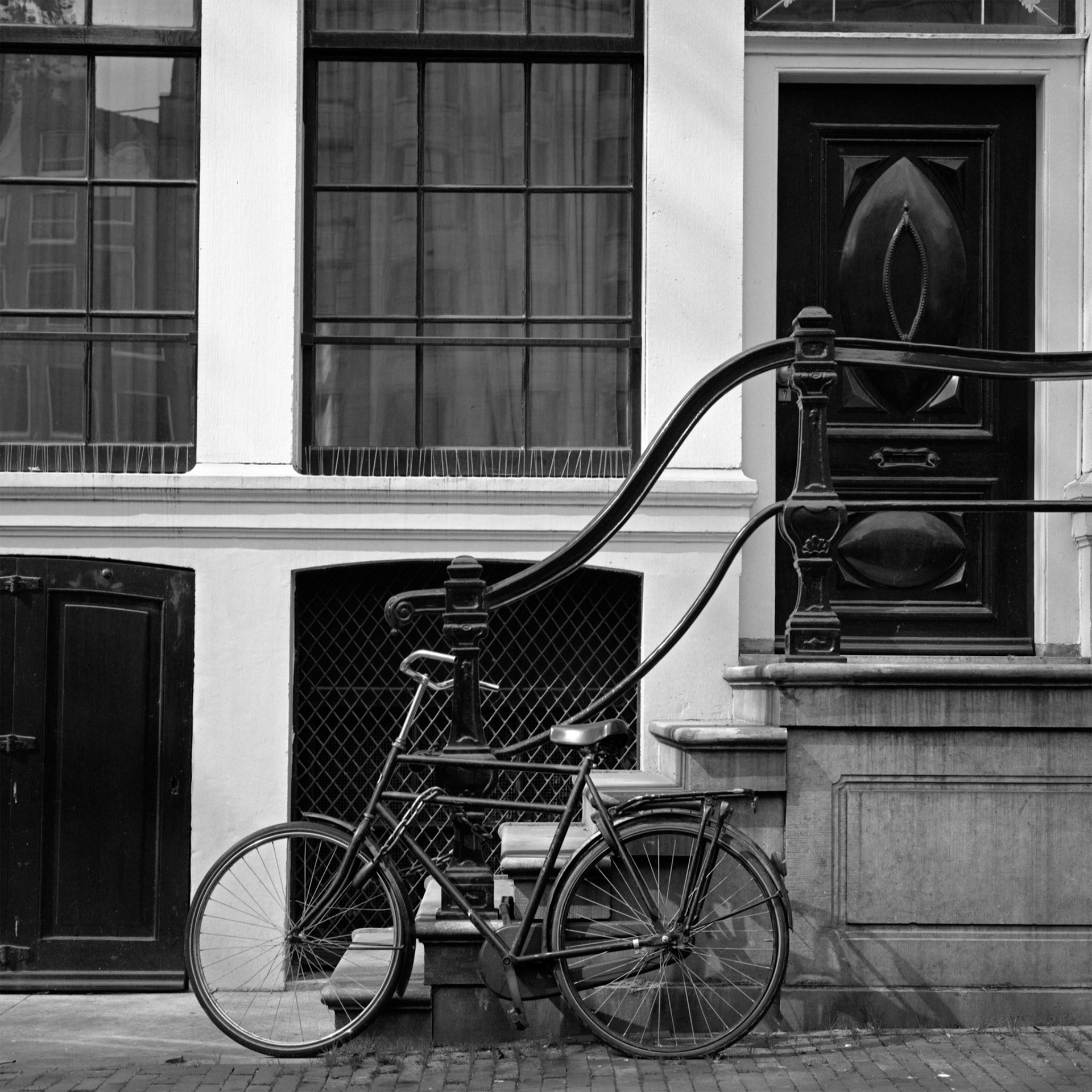 Amsterdam Front Steps