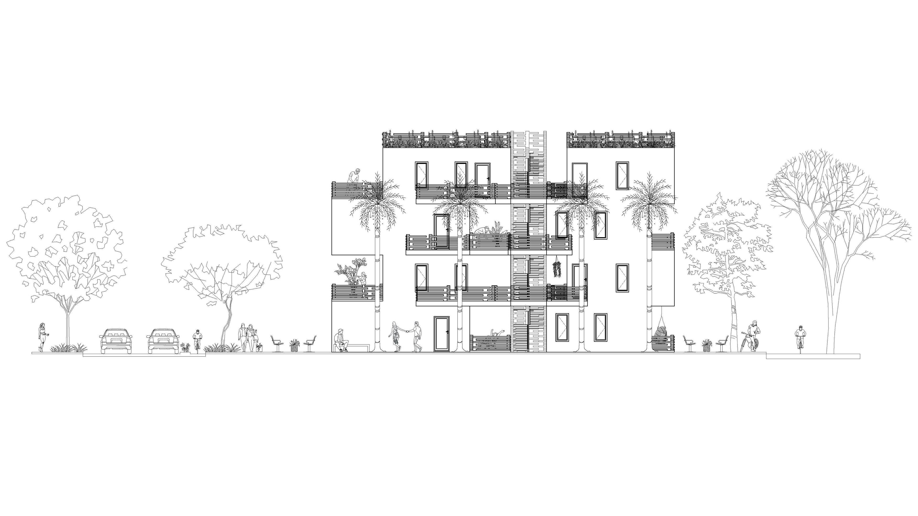 Elevation