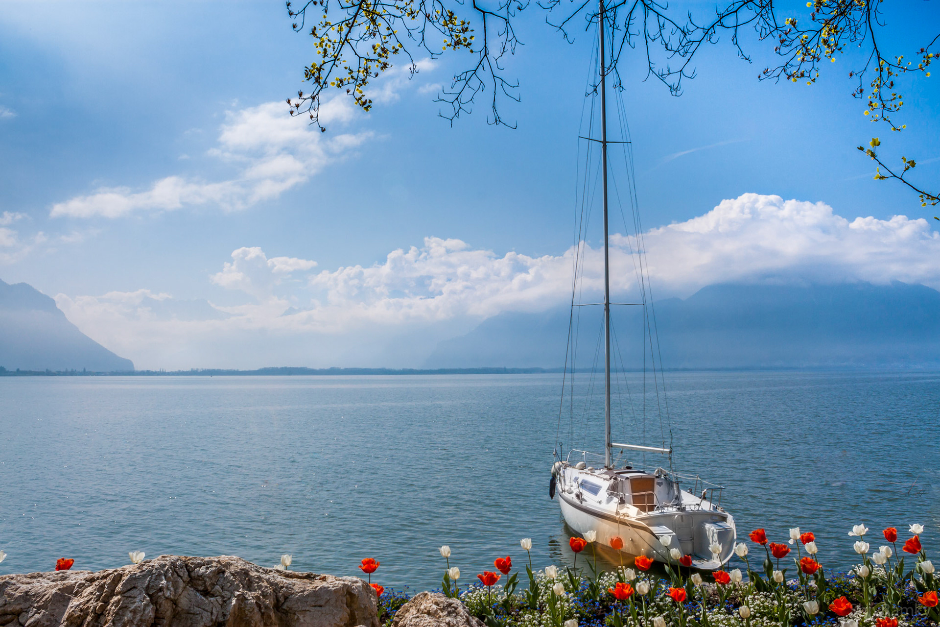 Vevey-Montreux, Swiss