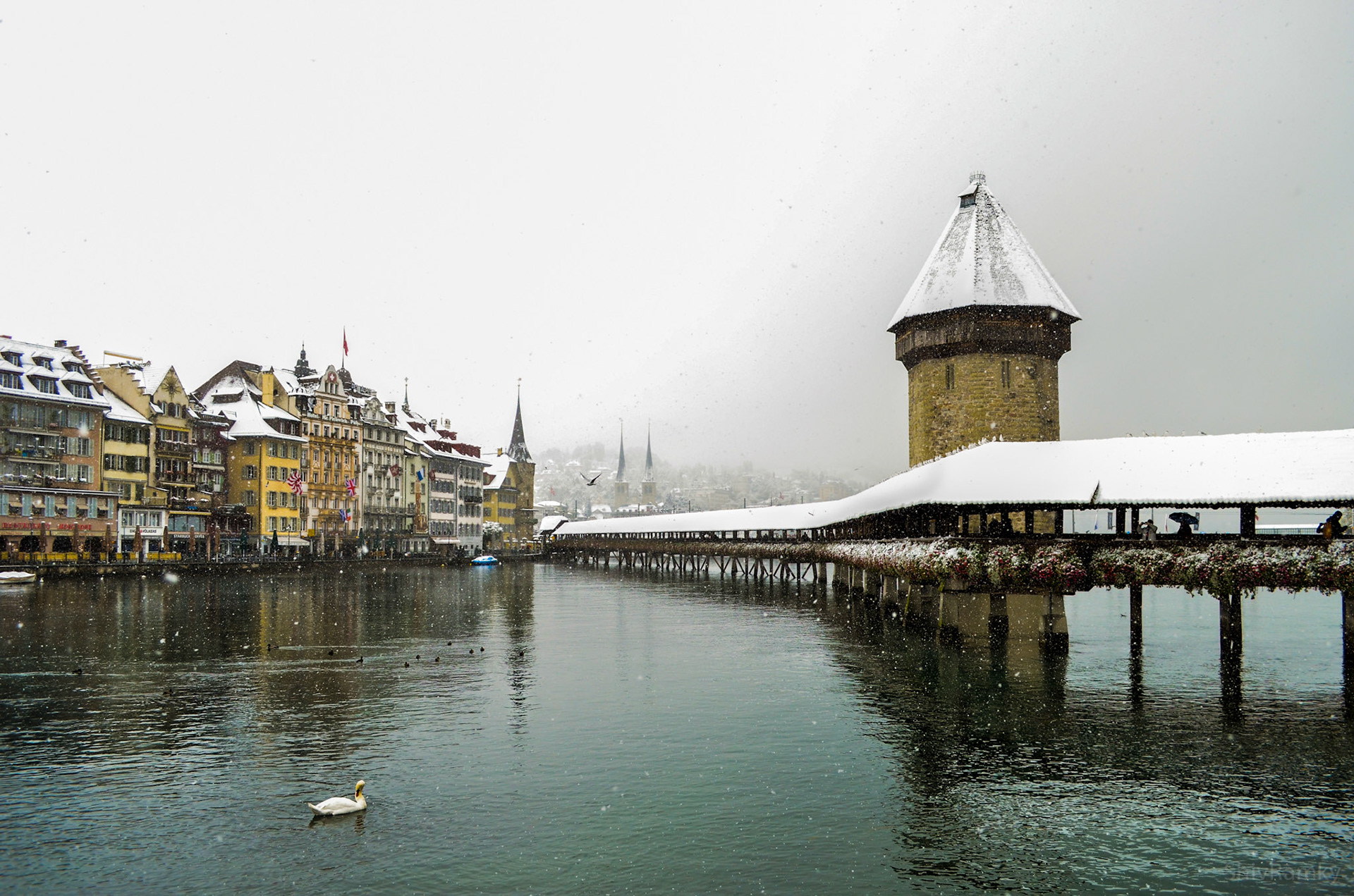 Lucern, Swiss