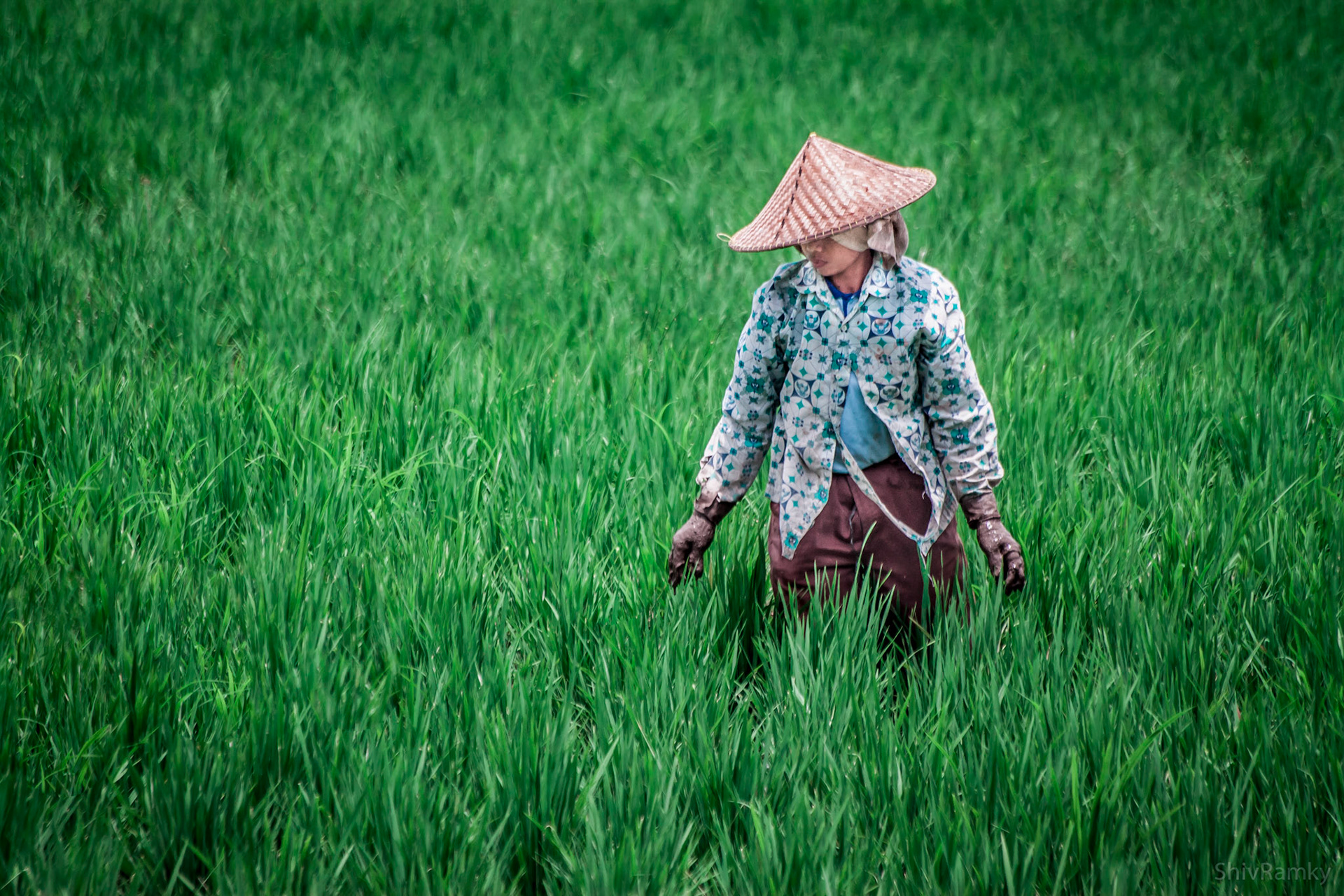 Ubud, Indonesia