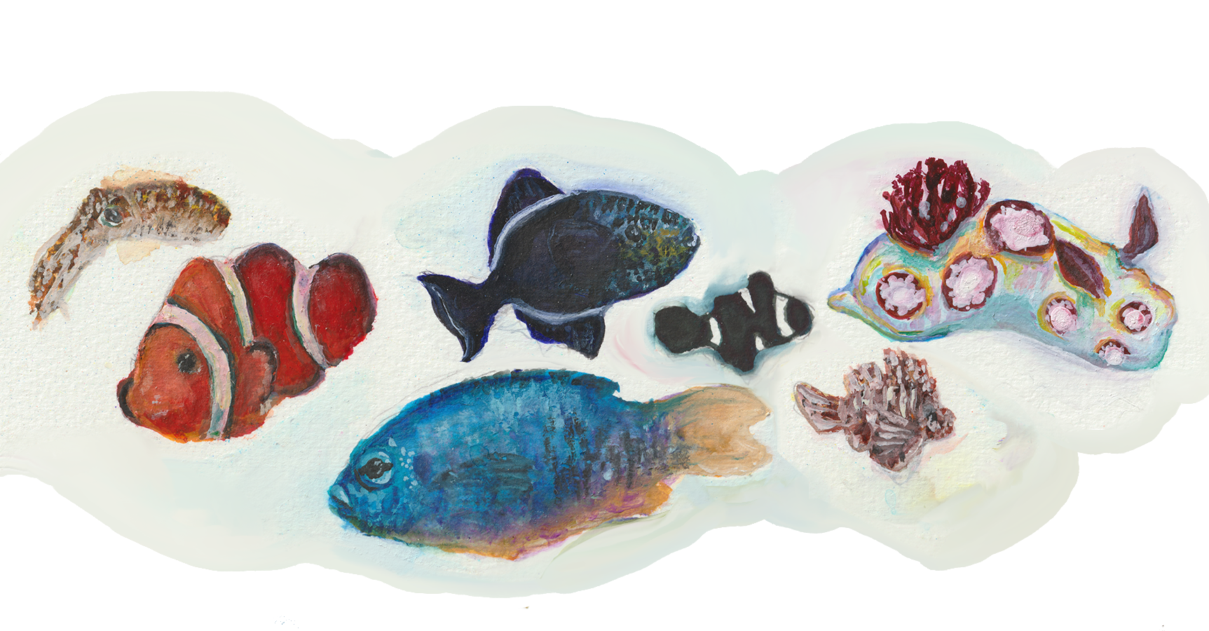 Marine Wildlife