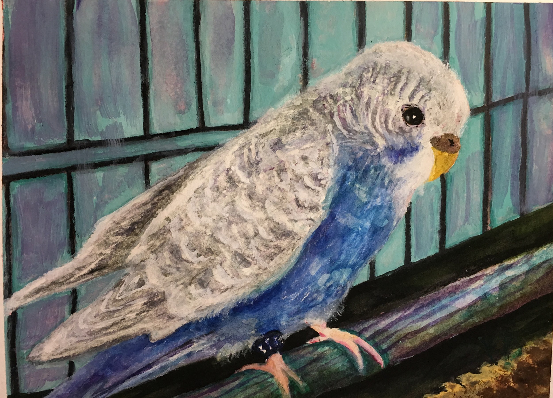 Lila