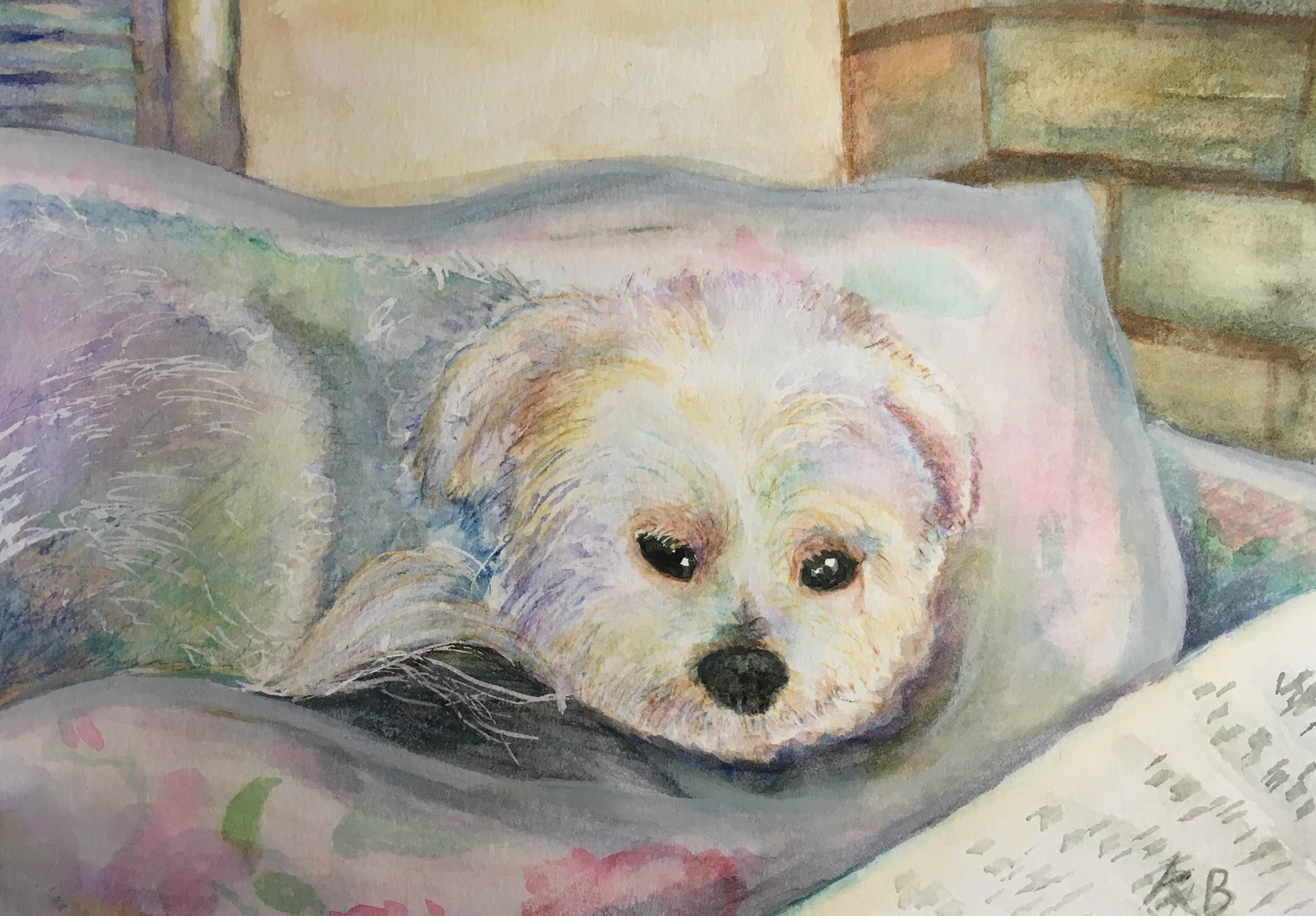 Sofie