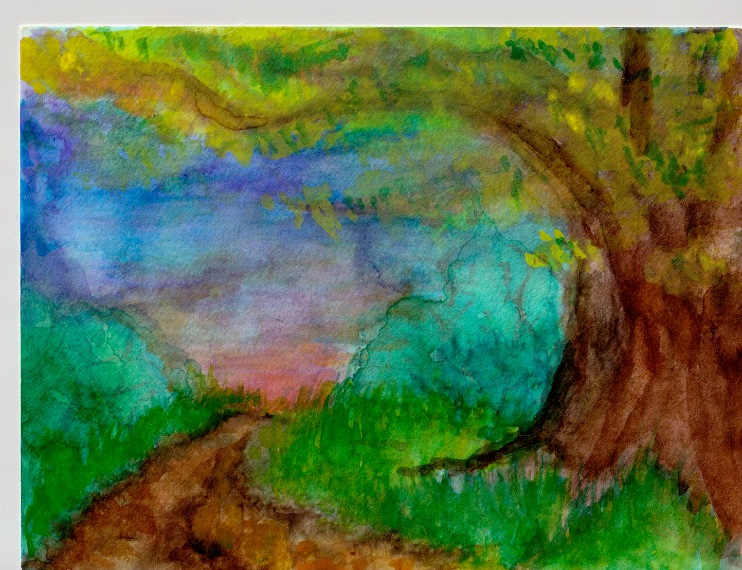 The Path