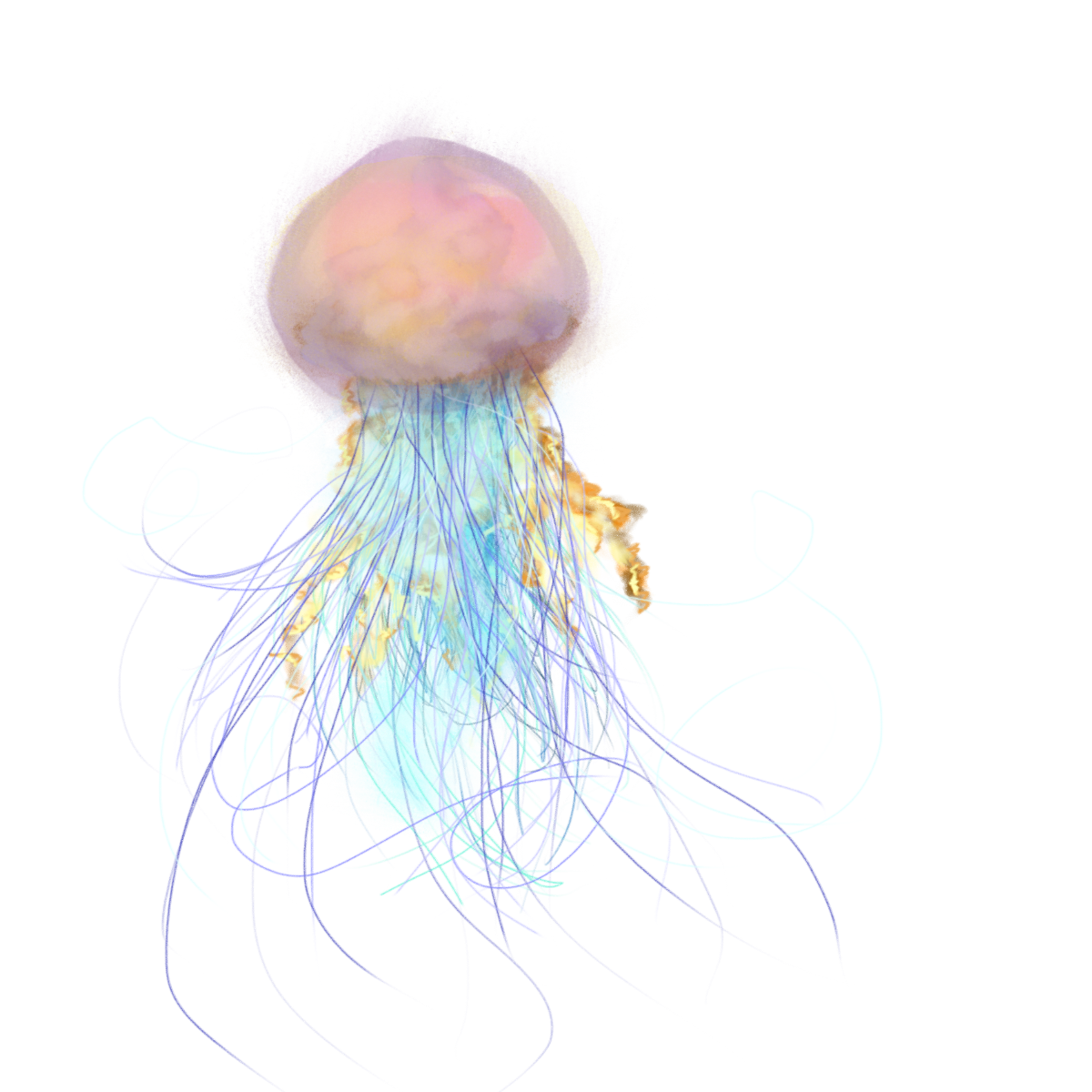 Cloudfish